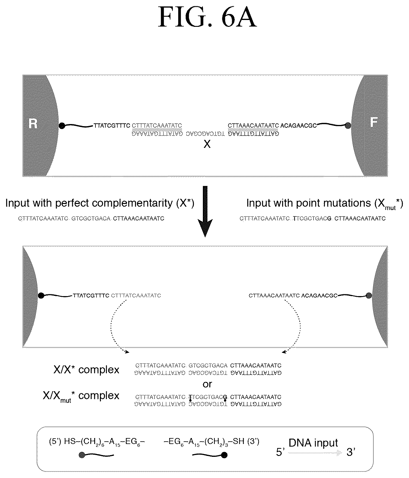 Patent US12307346 Figure 14 – Lipid nanotablet