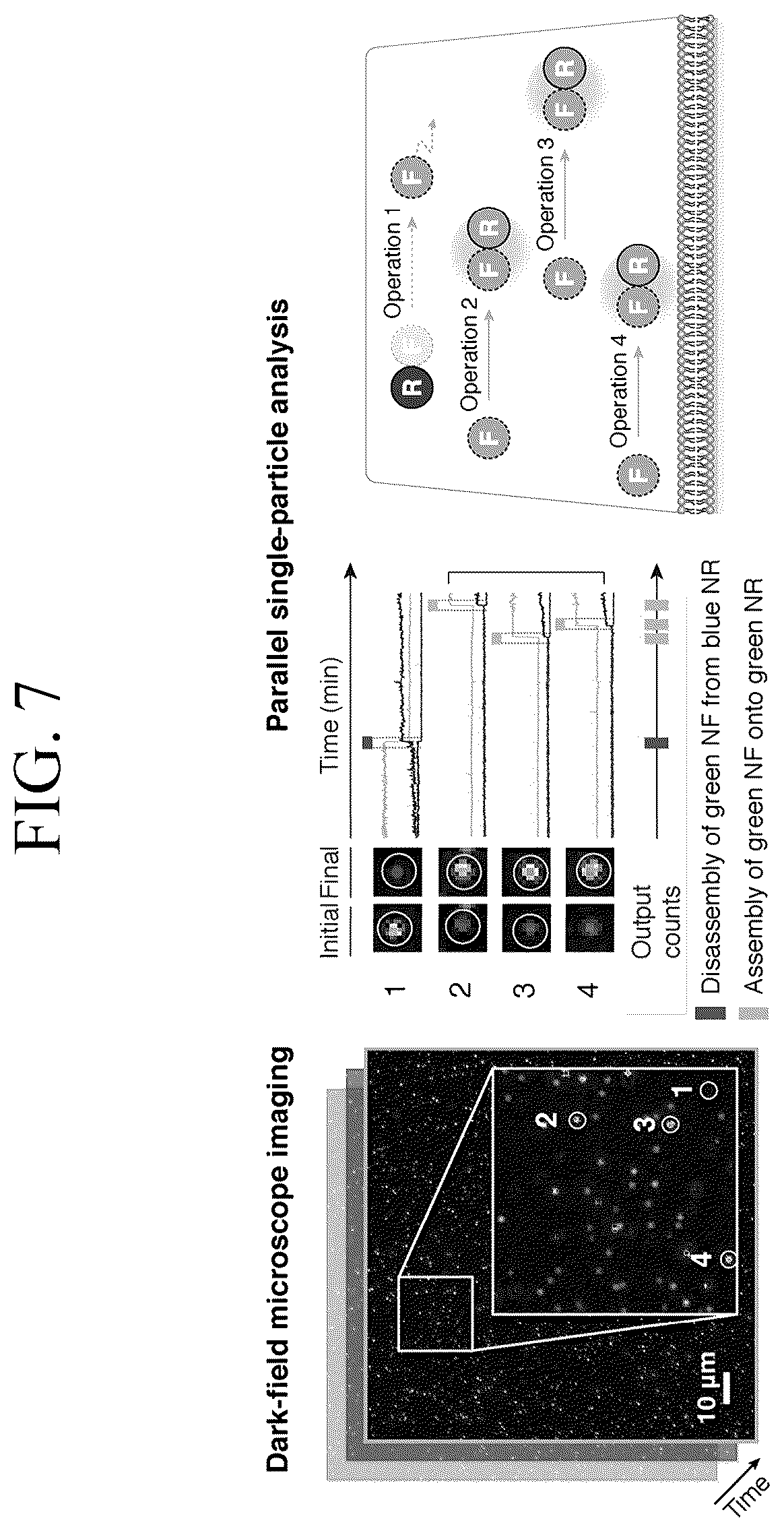 Patent US12307346 Figure 16 – Lipid nanotablet