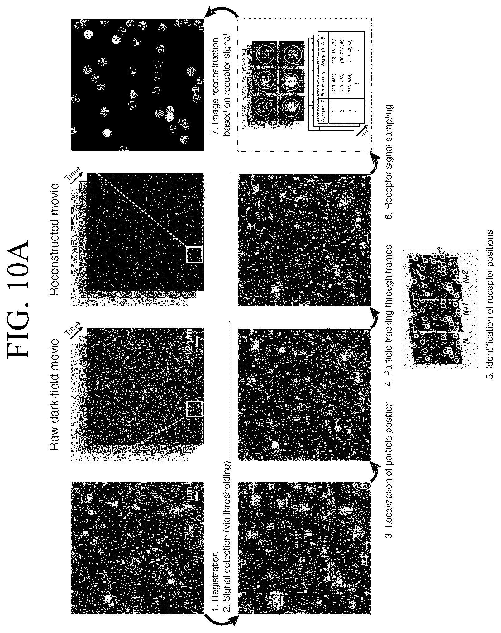 Patent US12307346 Figure 20 – Lipid nanotablet