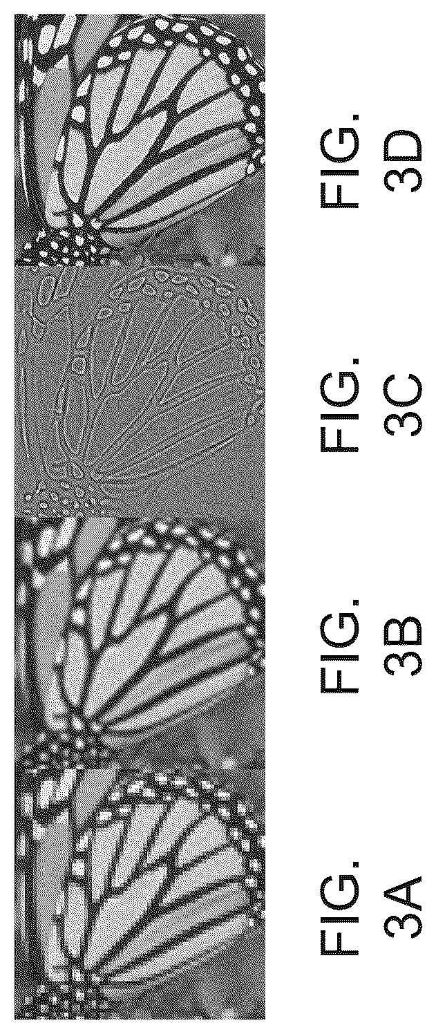 Patent US12307630 Figure 3 – Methods and systems for super resolution for infra-red imagery