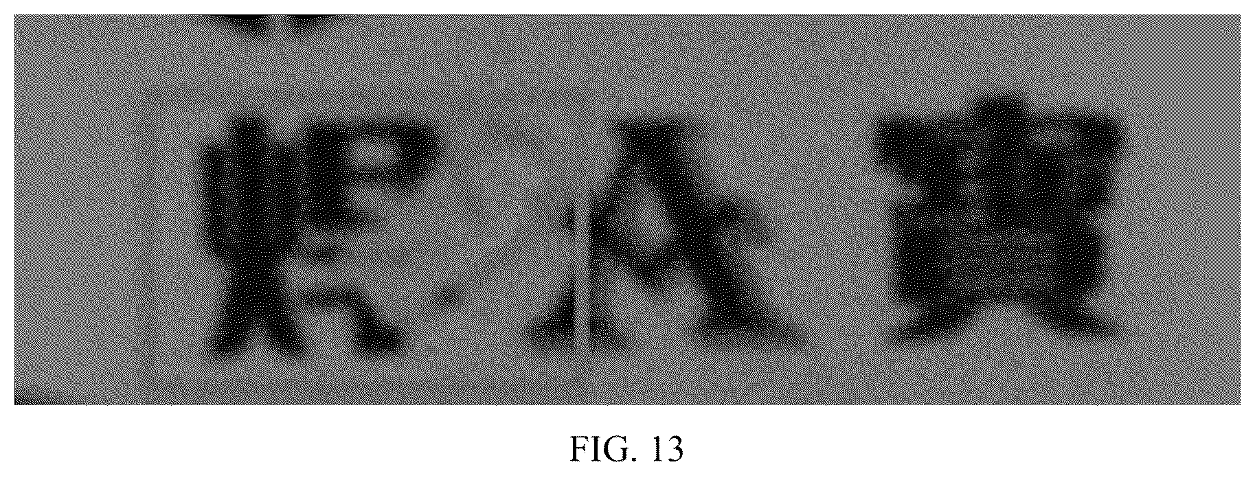 Patent US12307653 Figure 13 – Surface defect detection method, system, equipment, and terminal thereof