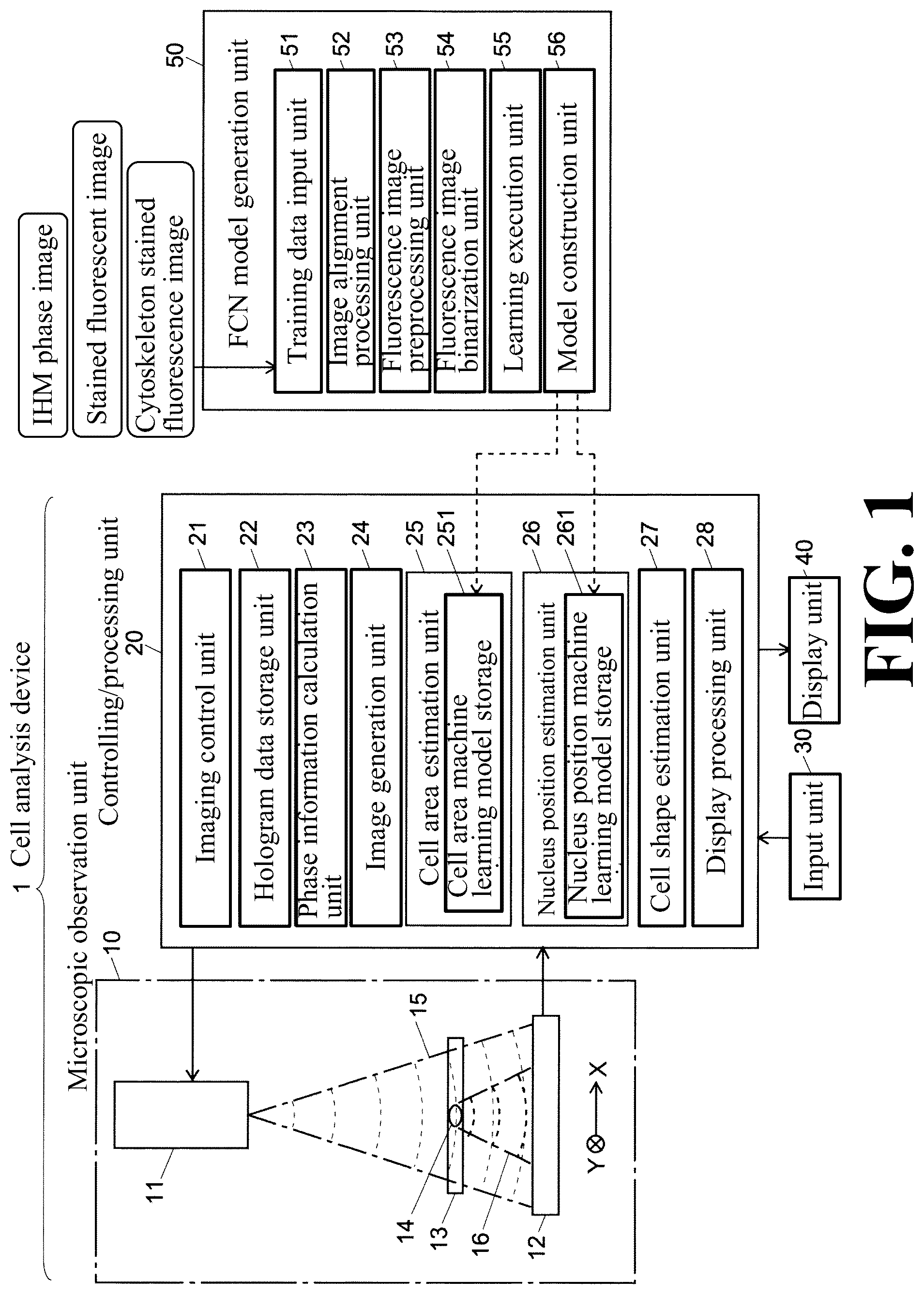 Patent US12307655 Figure 1 – Cell image analysis method and cell image analysis device