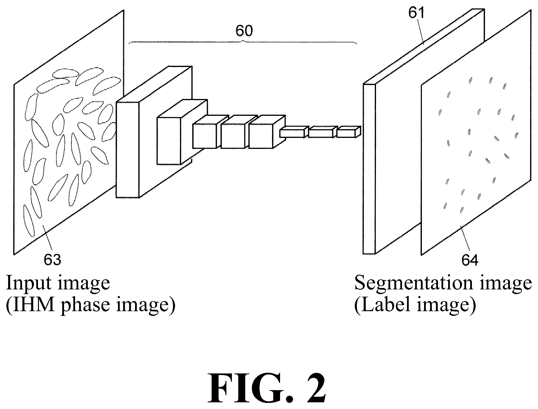 Patent US12307655 Figure 2 – Cell image analysis method and cell image analysis device
