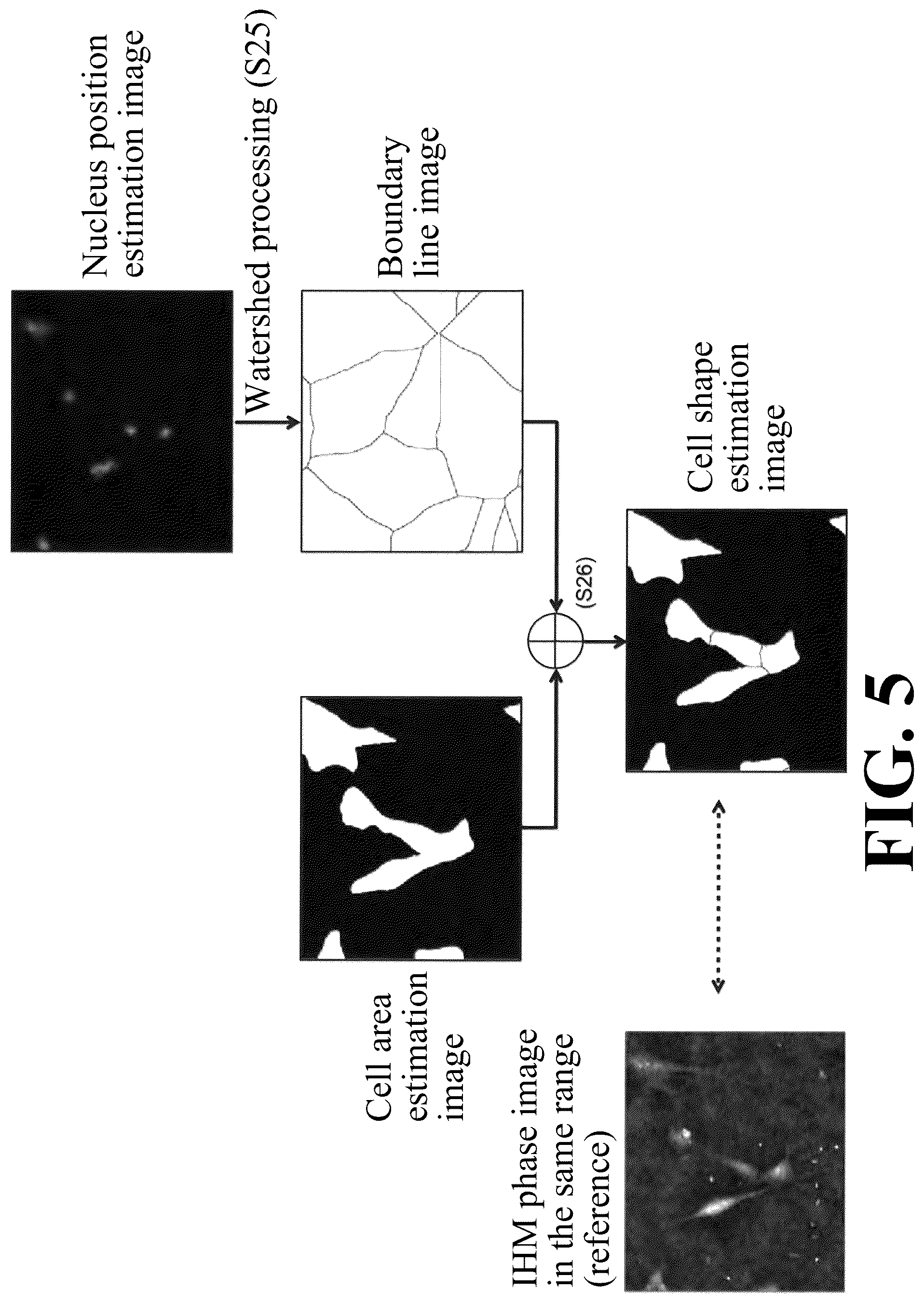 Patent US12307655 Figure 5 – Cell image analysis method and cell image analysis device
