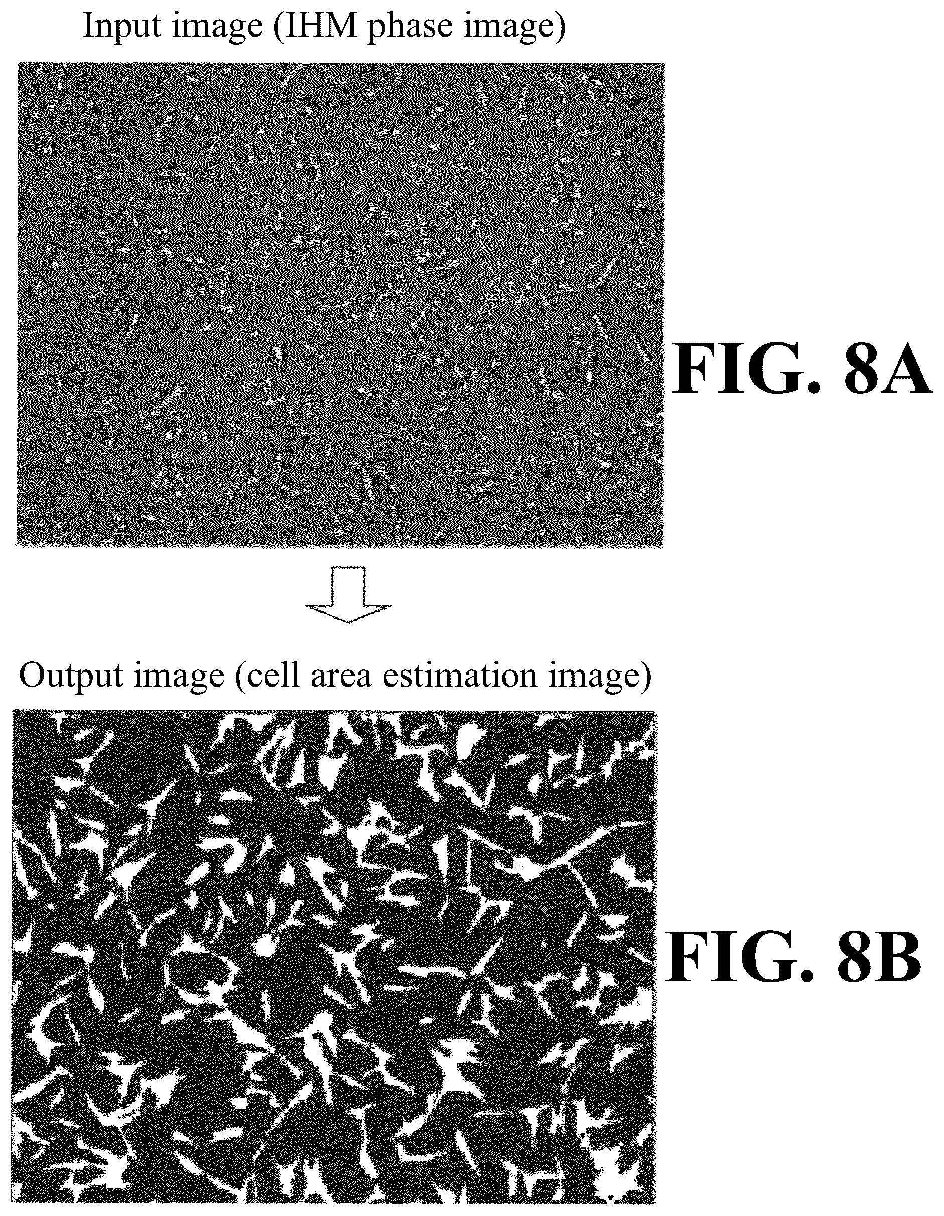 Patent US12307655 Figure 8 – Cell image analysis method and cell image analysis device
