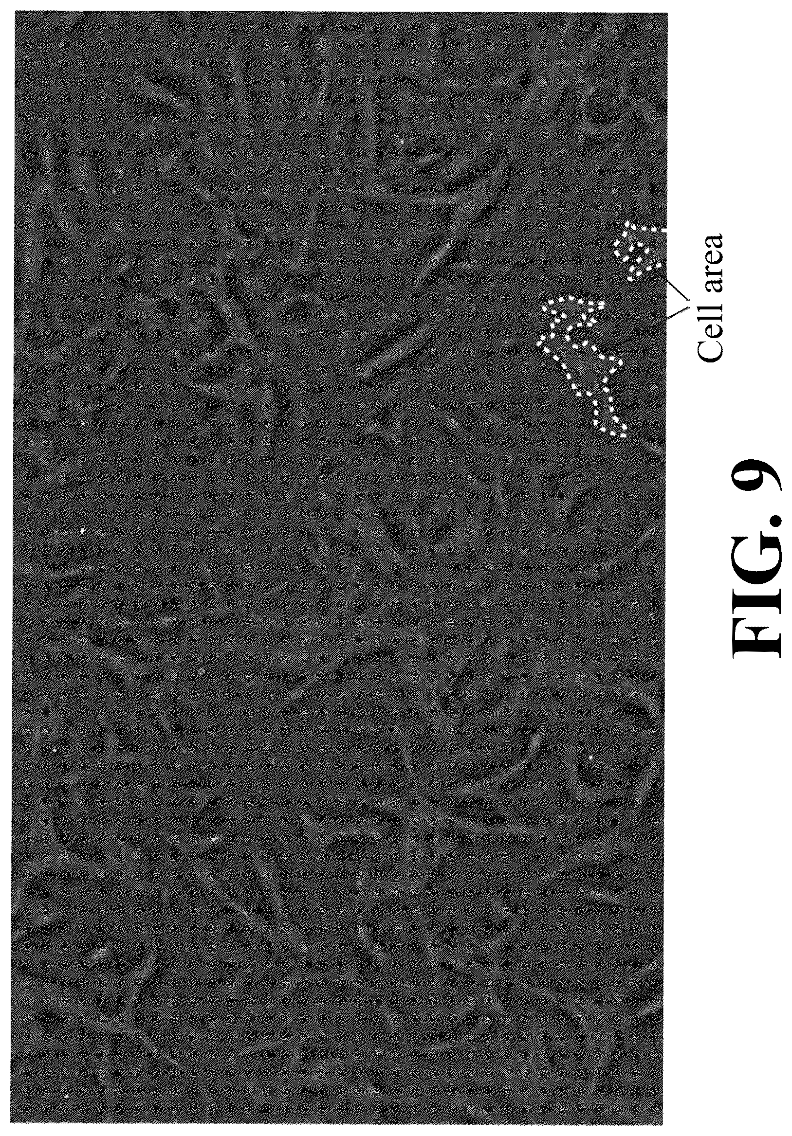 Patent US12307655 Figure 9 – Cell image analysis method and cell image analysis device