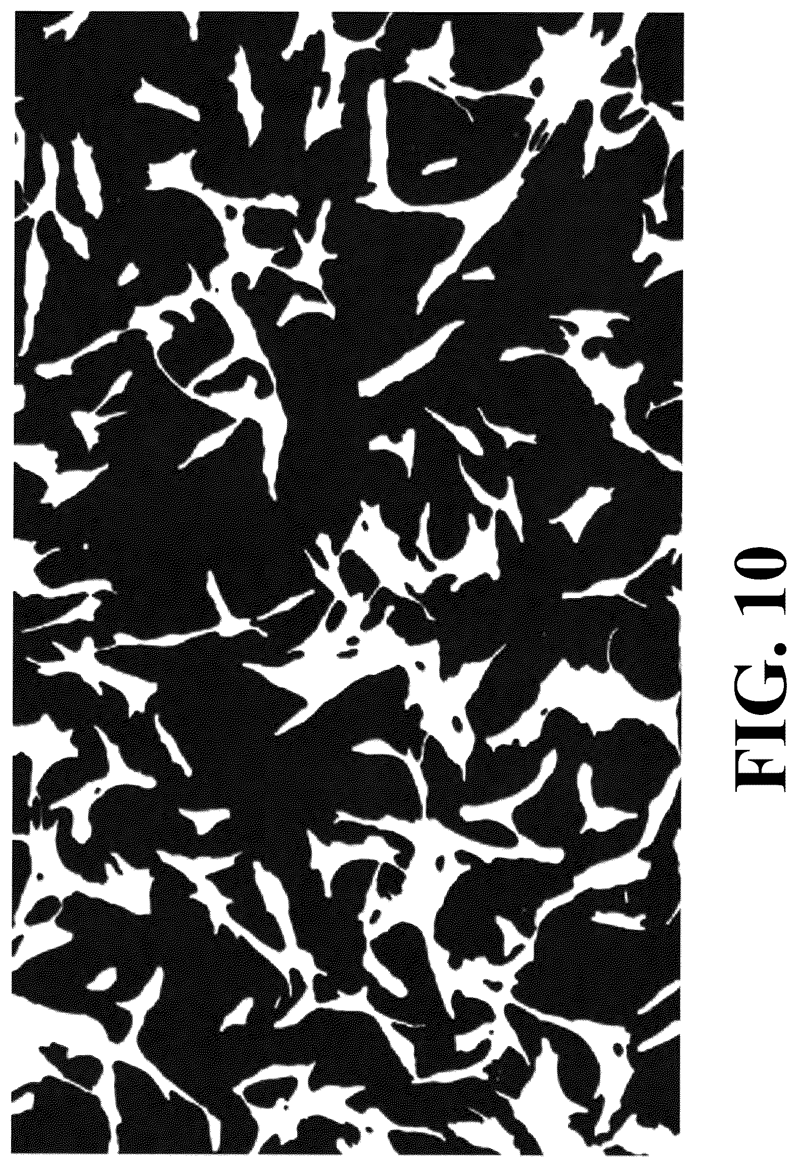Patent US12307655 Figure 10 – Cell image analysis method and cell image analysis device