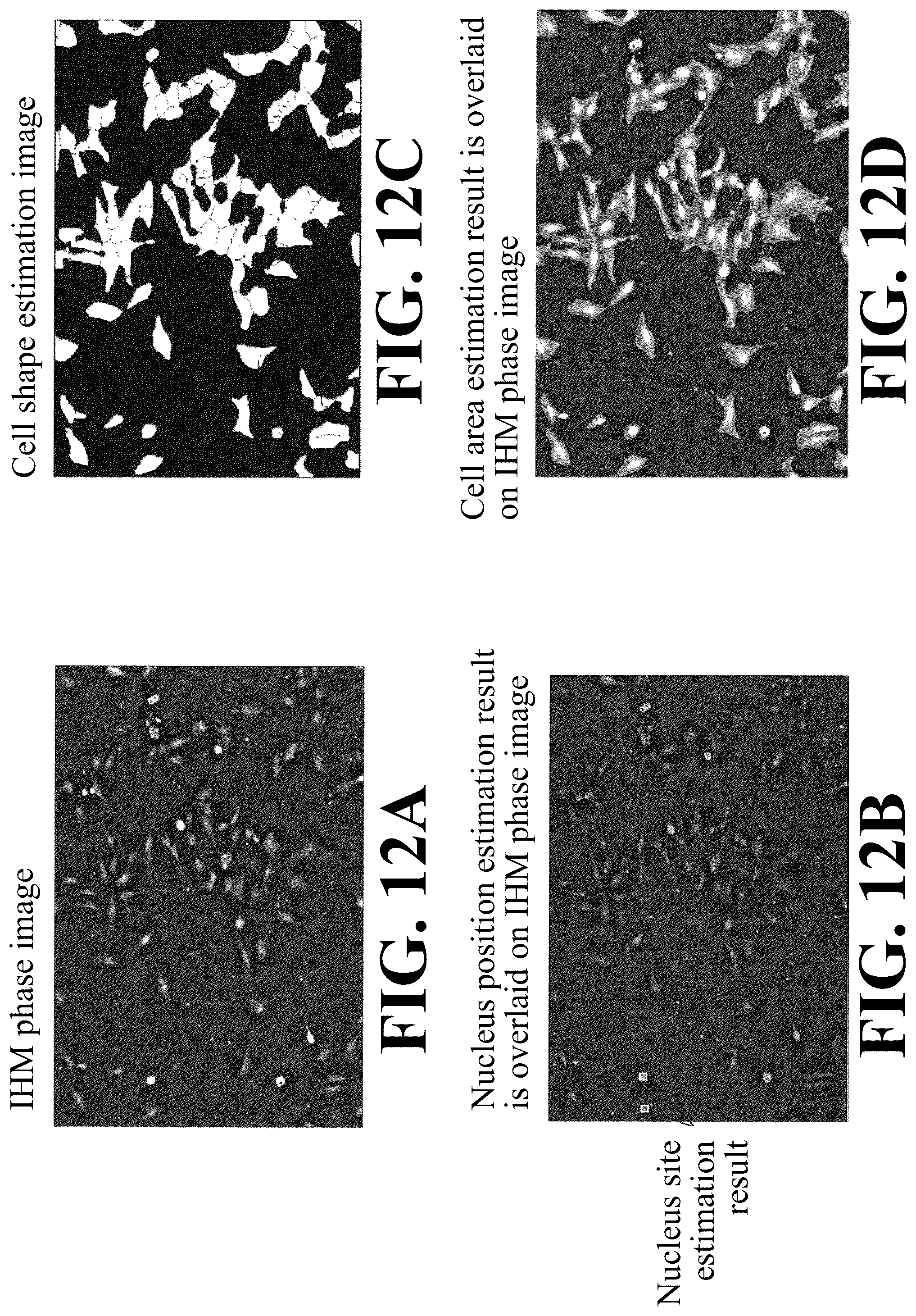 Patent US12307655 Figure 12 – Cell image analysis method and cell image analysis device