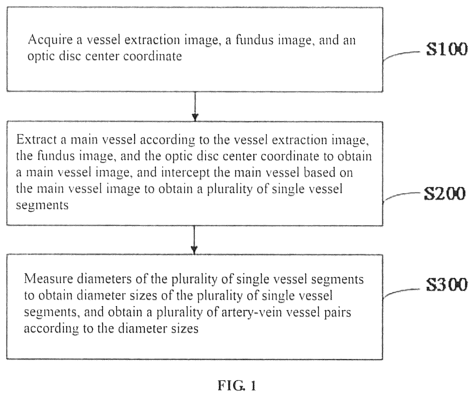 Patent US12307663 Figure 1 – Method, device and apparatus for differentiating arteries and veins of retinal vessels