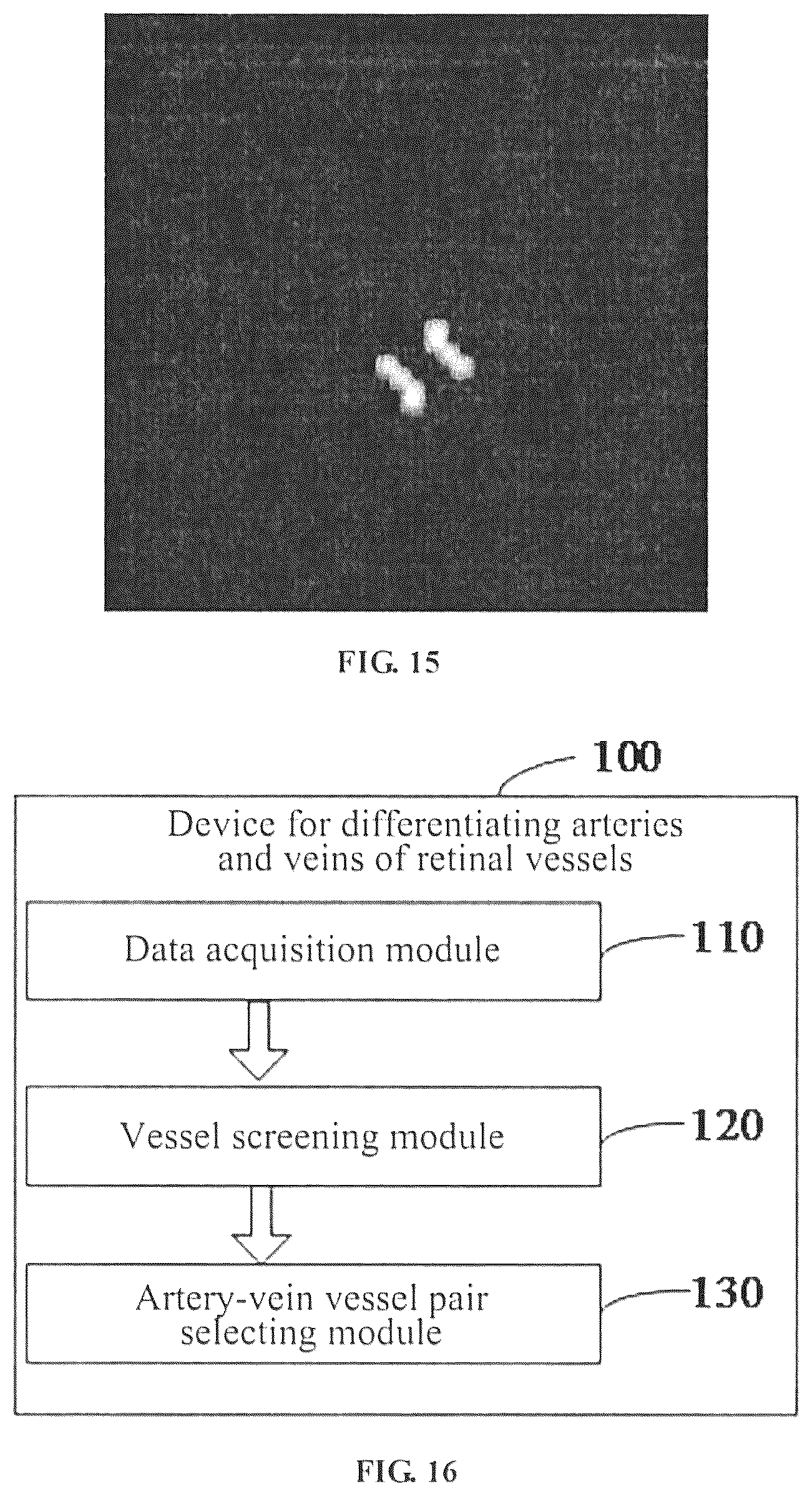 Patent US12307663 Figure 12 – Method, device and apparatus for differentiating arteries and veins of retinal vessels