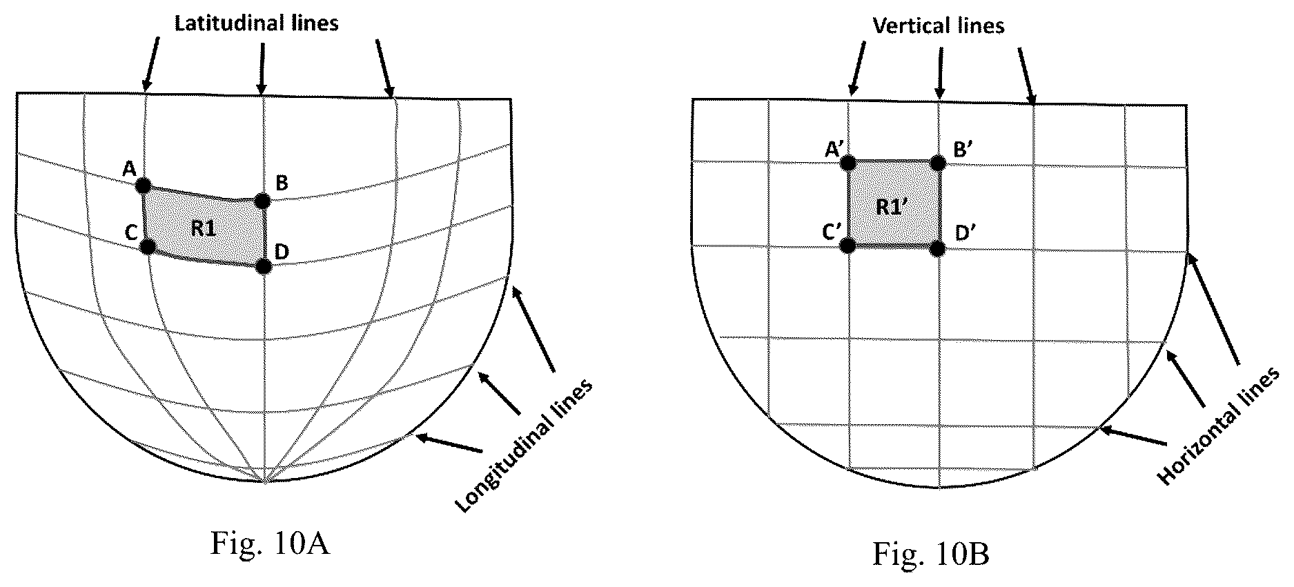 Patent US12307669 Figure 10 – Detection and characterization of cancerous tumors