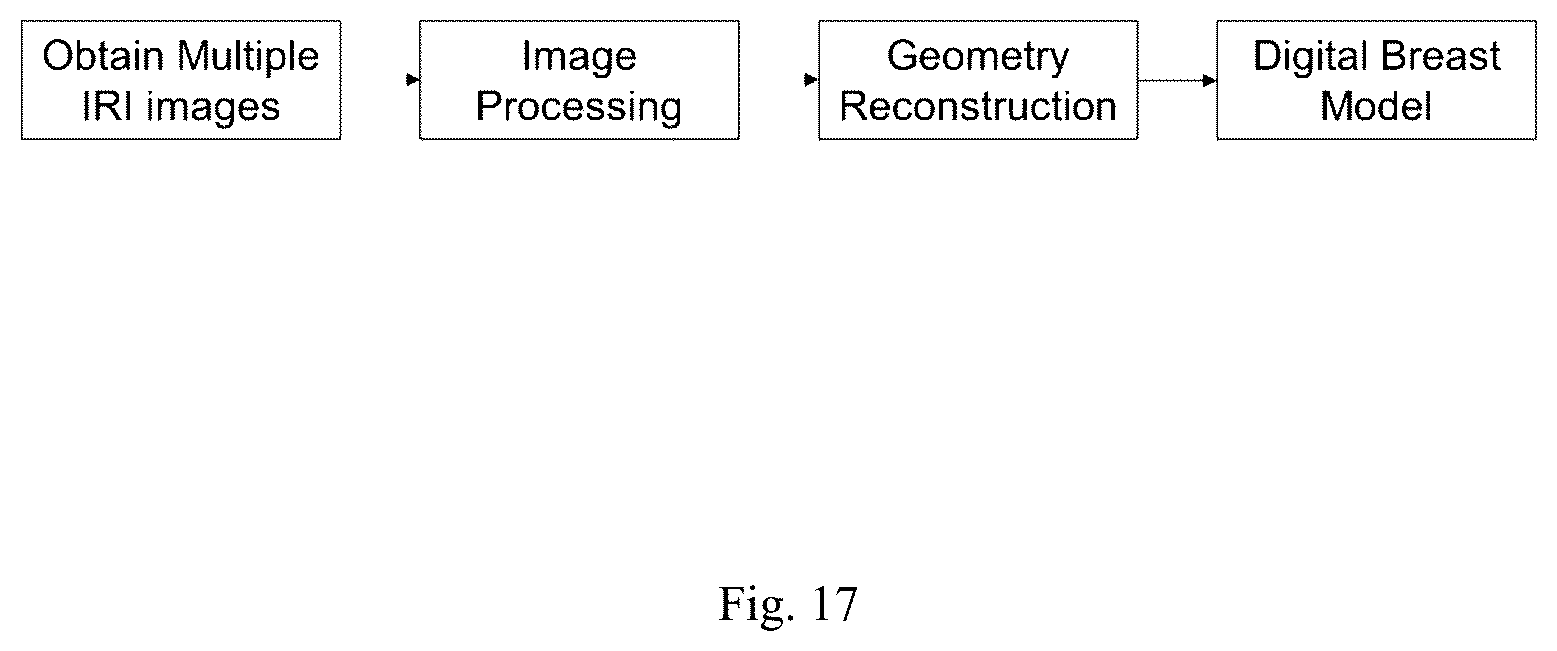 Patent US12307669 Figure 17 – Detection and characterization of cancerous tumors