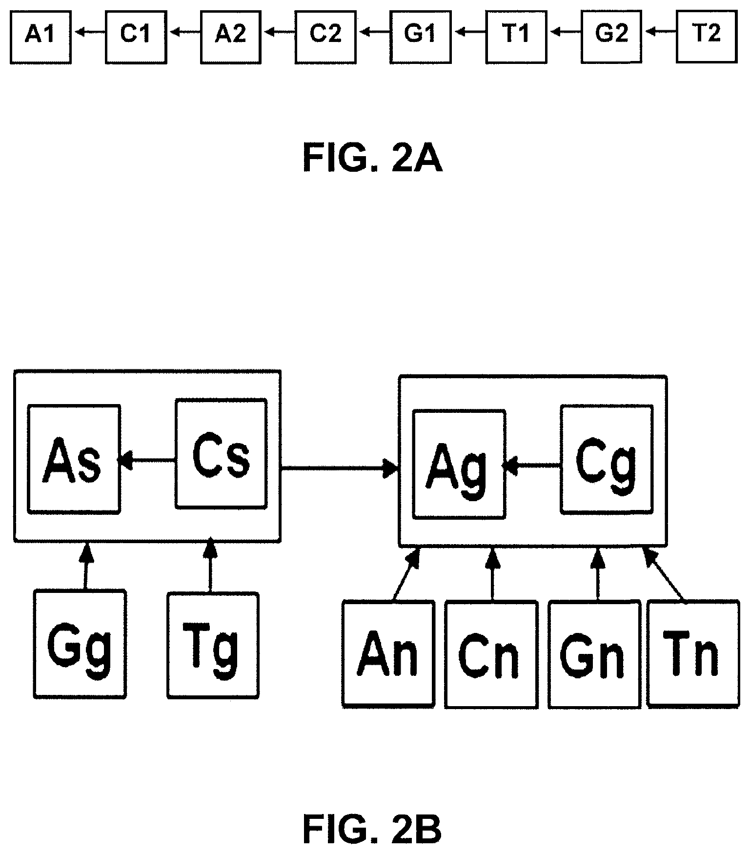 Patent US12307670 Figure 3 – Analyzing image data from nucleic acid sequencing