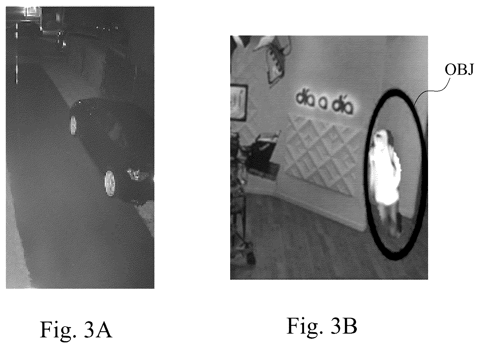 Patent US12307759 Figure 2 – Image data augmentation device and method