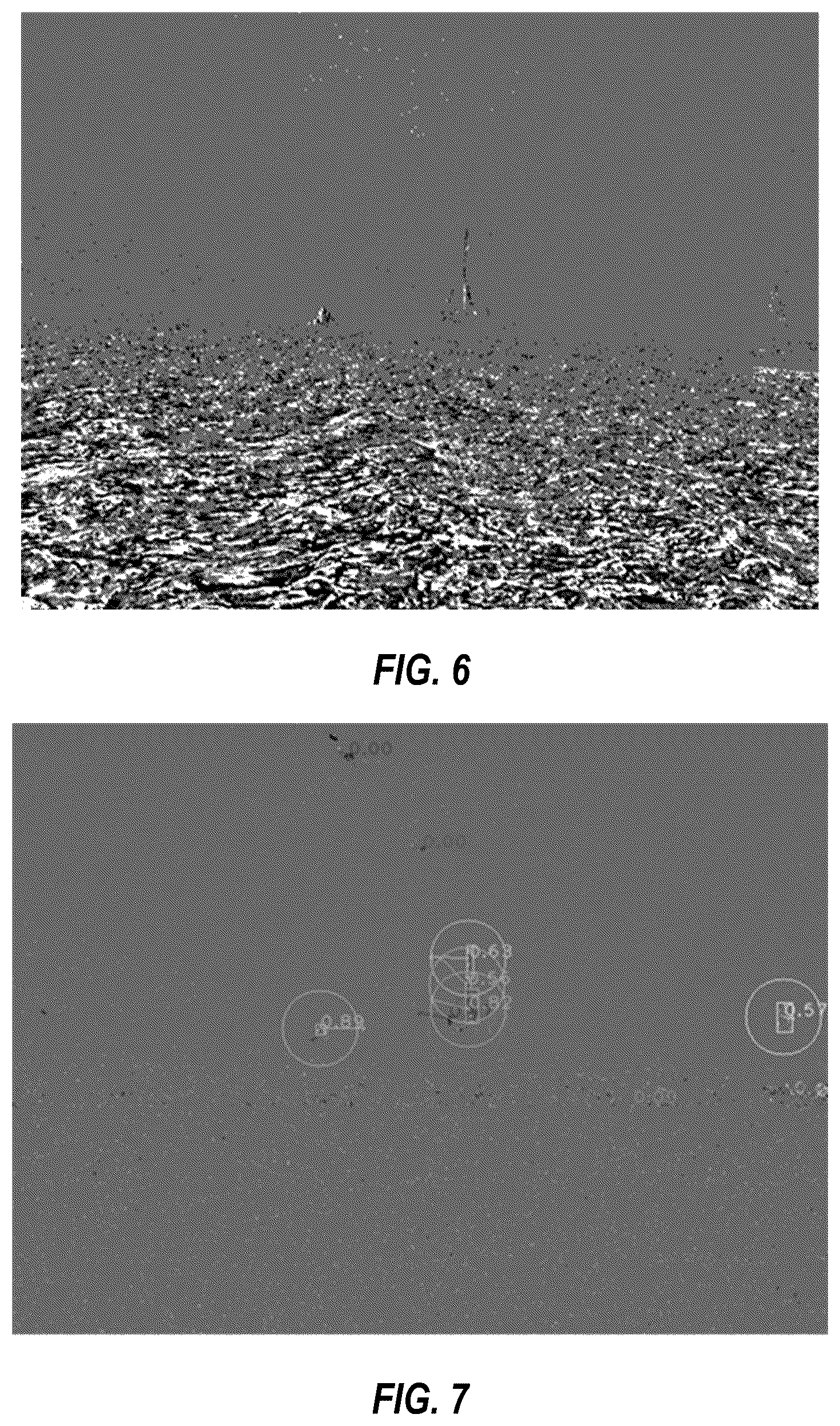 Patent US12307769 Figure 5 – System and method for efficient filtering, clustering, tracking and persistent motion detection for event cameras