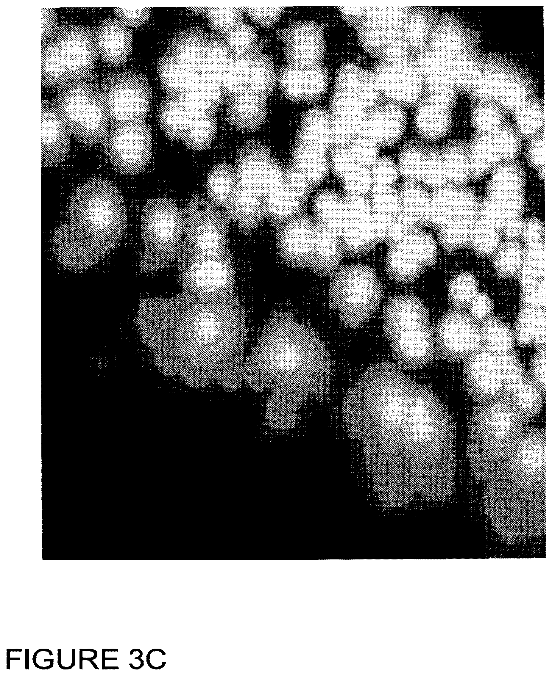 Patent US12307794 Figure 4 – System and method for monitoring bacterial growth of bacterial colonies and predicting colony biomass