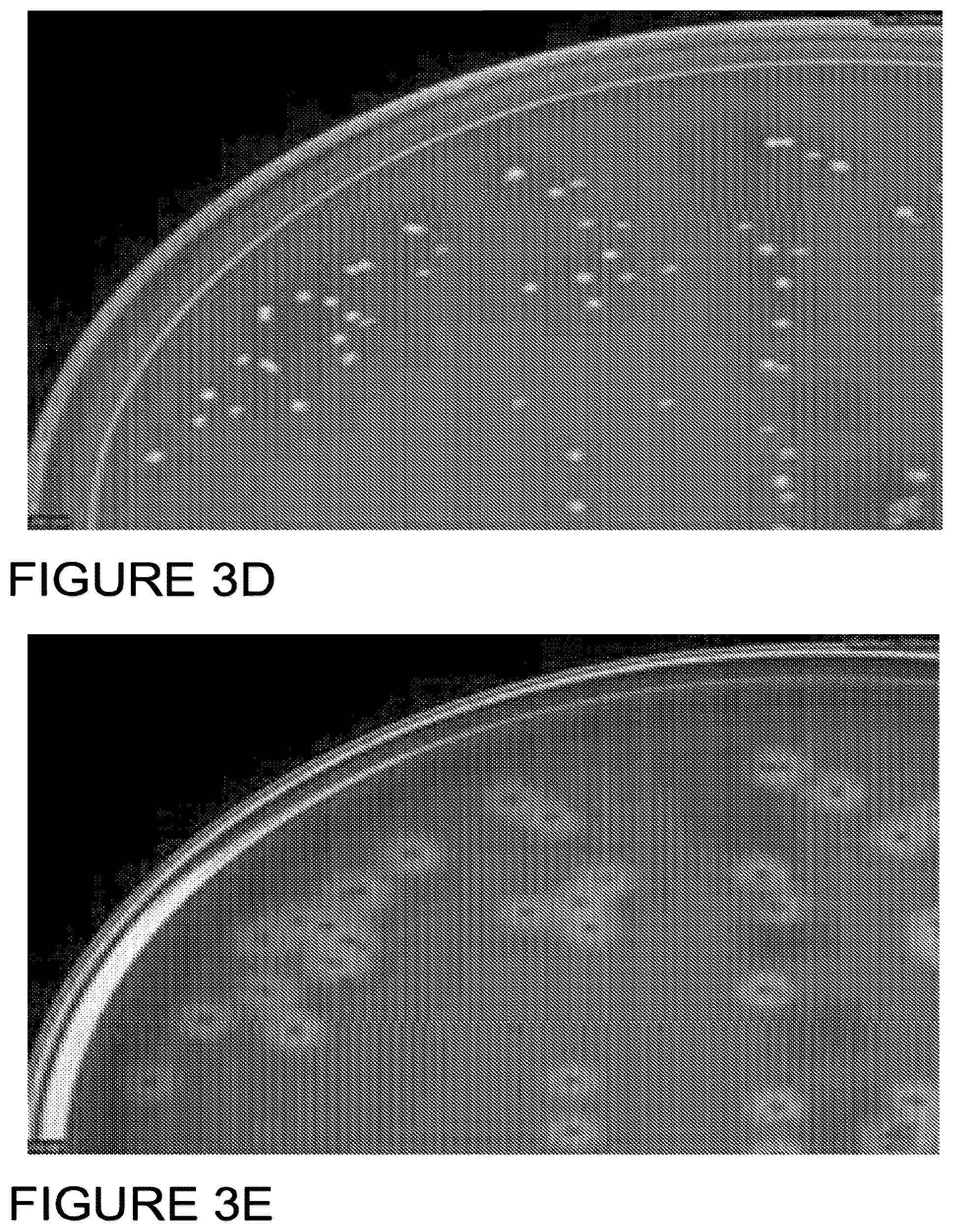 Patent US12307794 Figure 5 – System and method for monitoring bacterial growth of bacterial colonies and predicting colony biomass