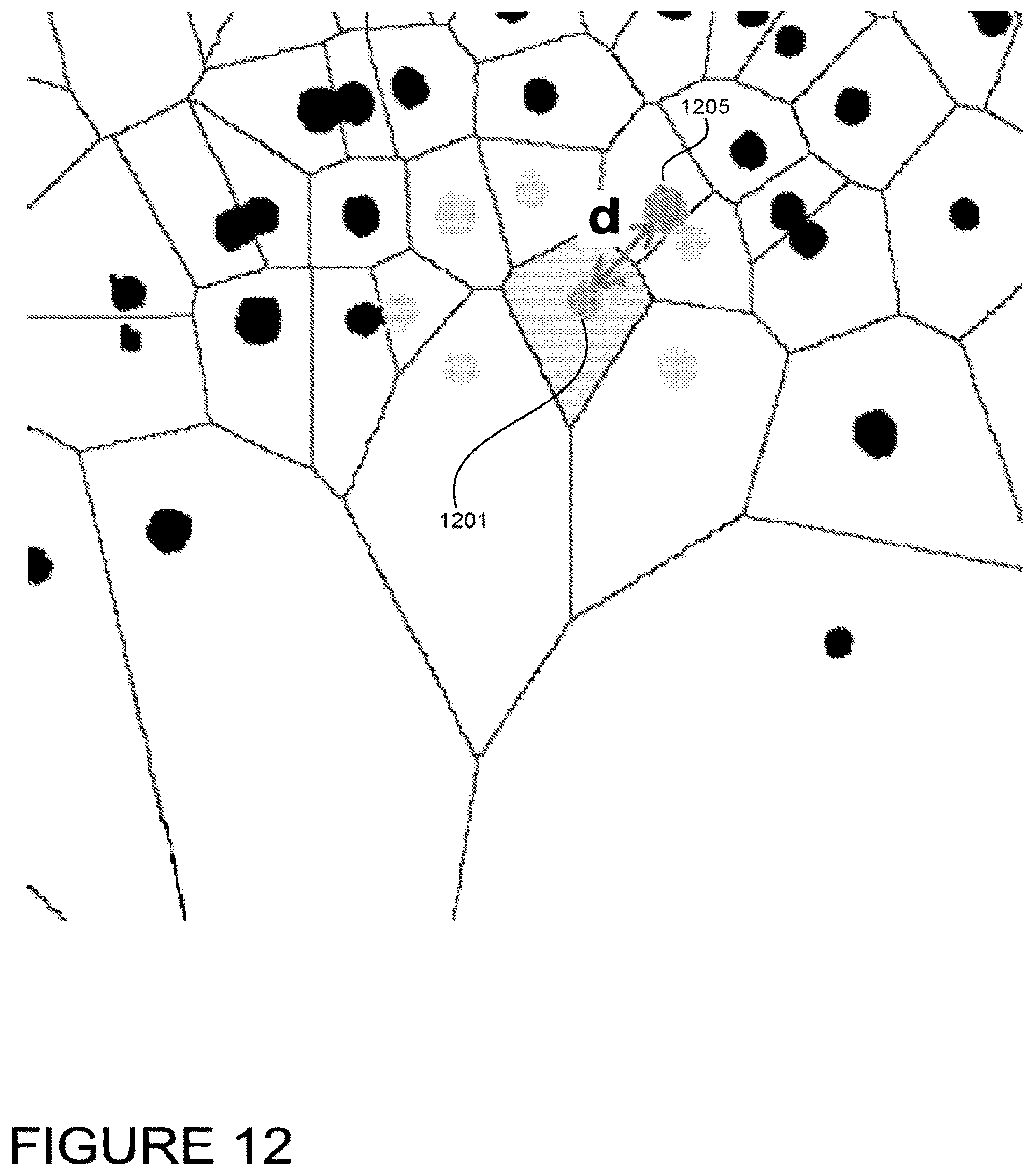 Patent US12307794 Figure 14 – System and method for monitoring bacterial growth of bacterial colonies and predicting colony biomass