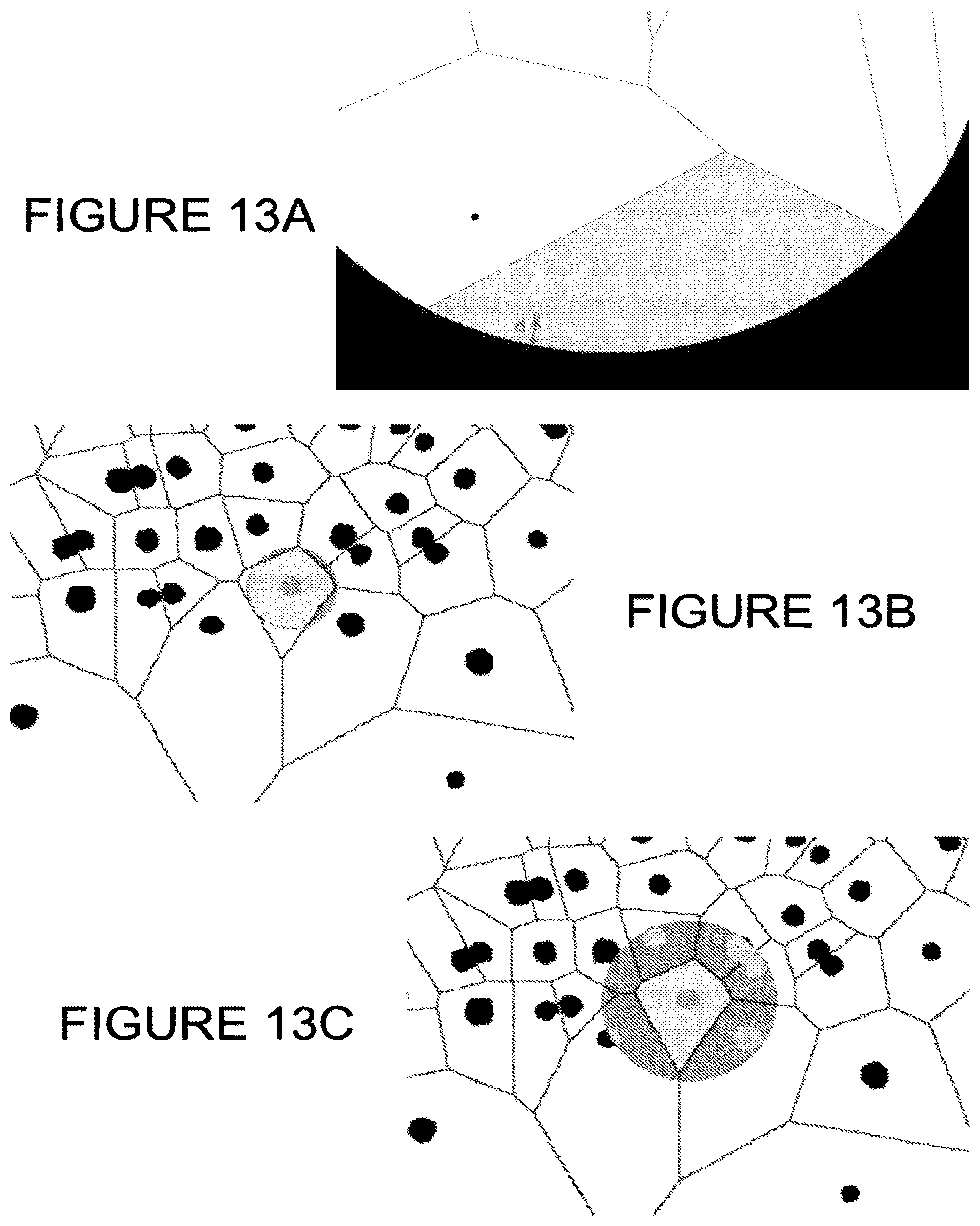 Patent US12307794 Figure 15 – System and method for monitoring bacterial growth of bacterial colonies and predicting colony biomass