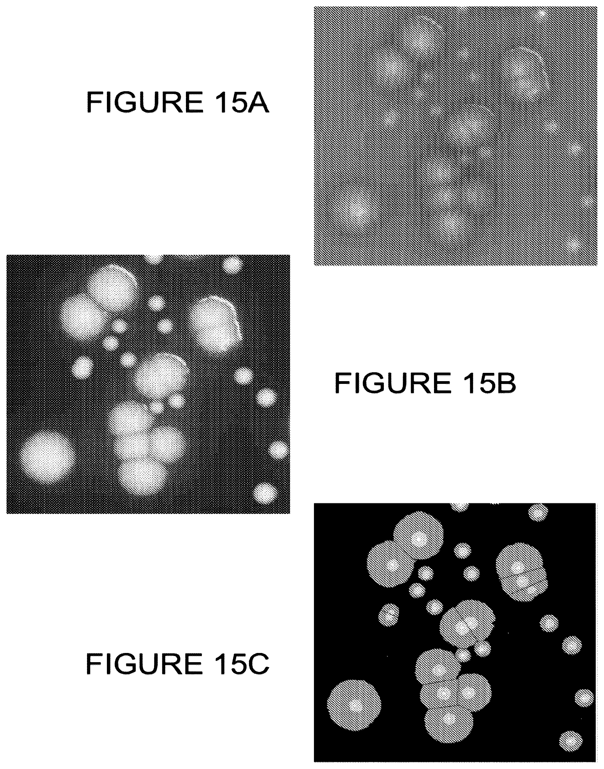Patent US12307794 Figure 17 – System and method for monitoring bacterial growth of bacterial colonies and predicting colony biomass