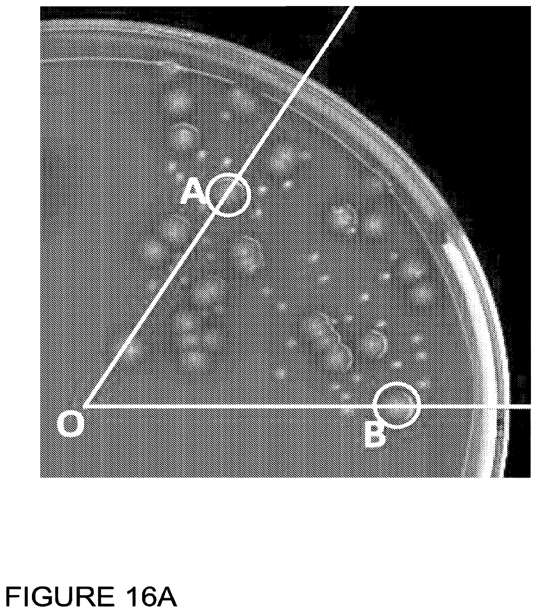 Patent US12307794 Figure 18 – System and method for monitoring bacterial growth of bacterial colonies and predicting colony biomass
