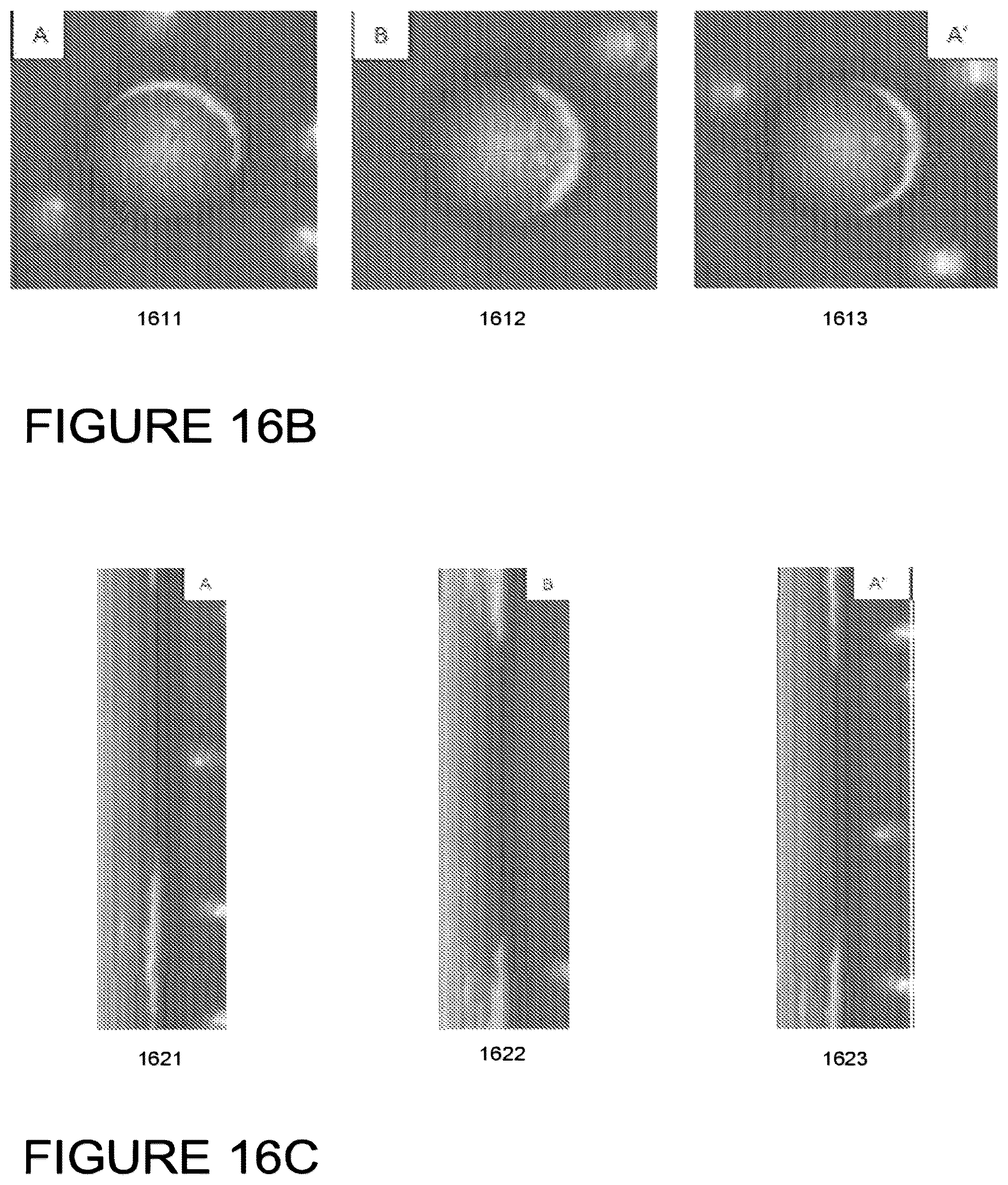 Patent US12307794 Figure 19 – System and method for monitoring bacterial growth of bacterial colonies and predicting colony biomass