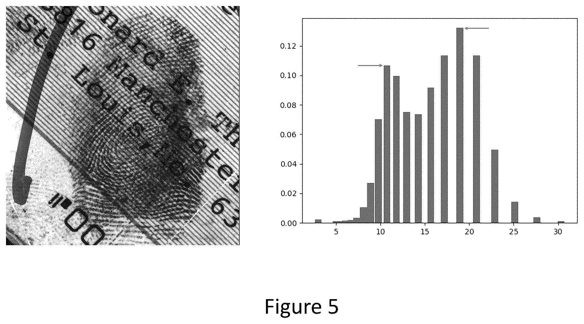 Patent US12307806 Figure 4 – Method using inter-ridge distances in pixels relating to fingerprints