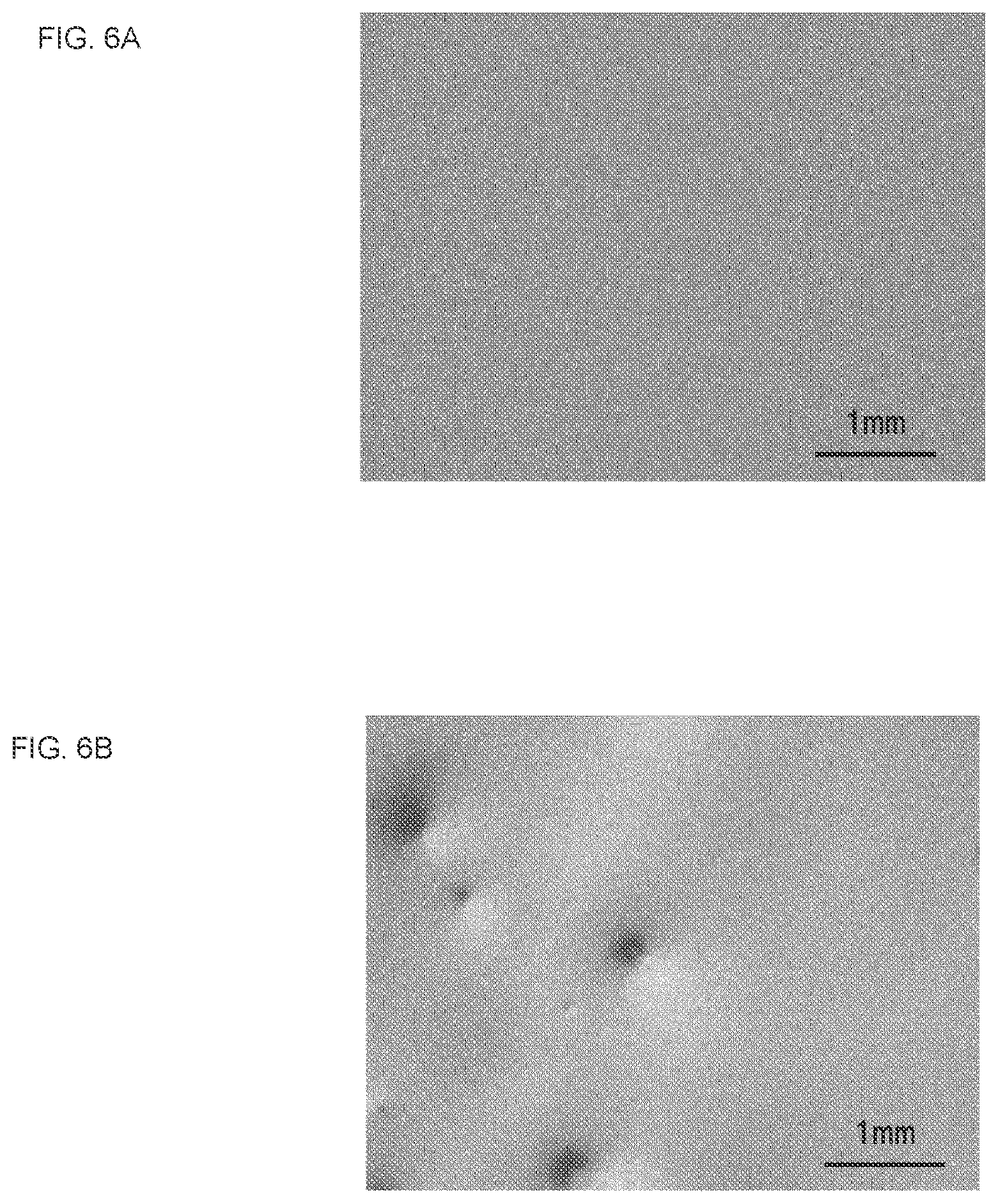 Patent US12308061 Figure 5 – Optical recording medium