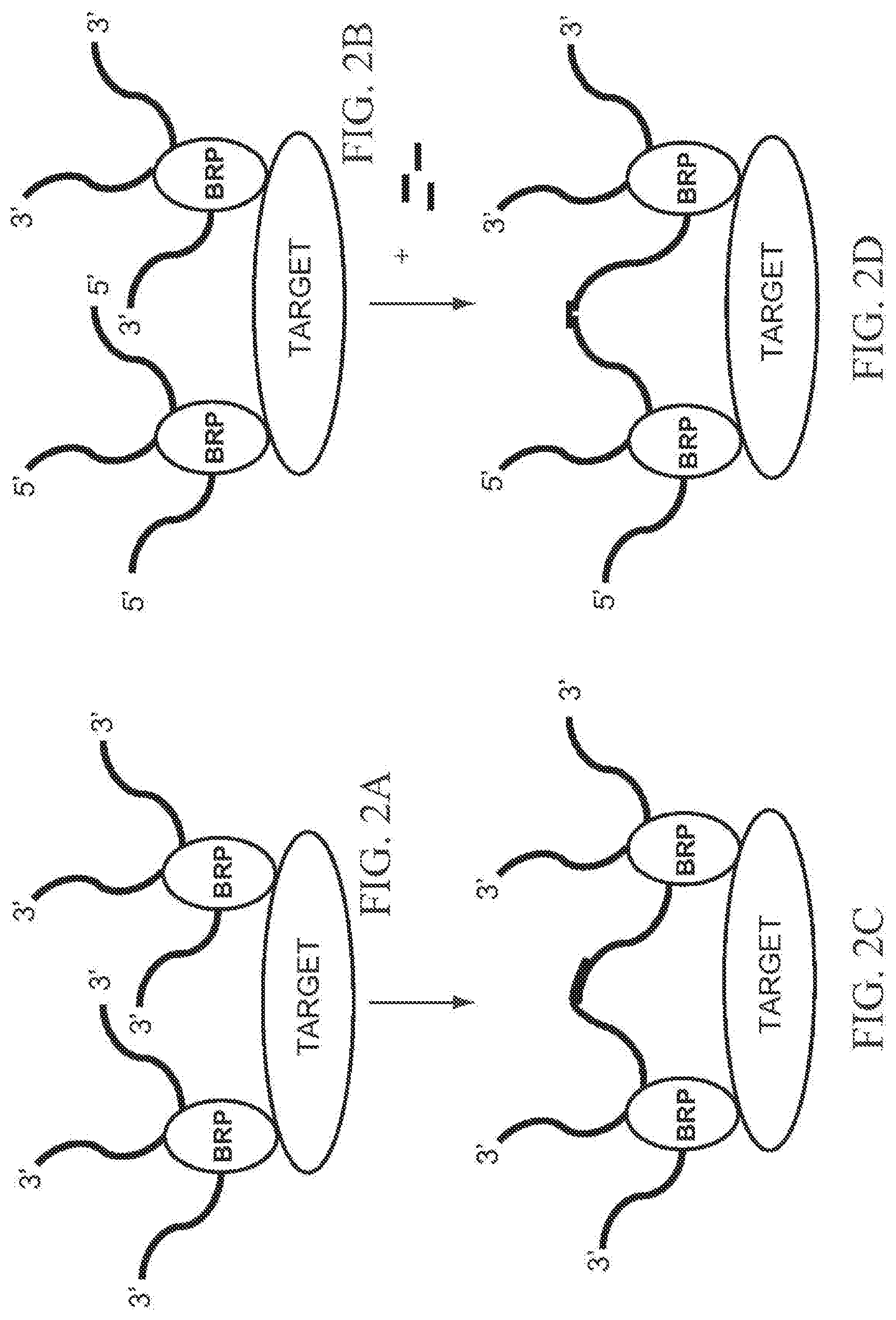 Patent US12308092 Figure 2 – Systems and methods for the analysis of proximity binding assay data