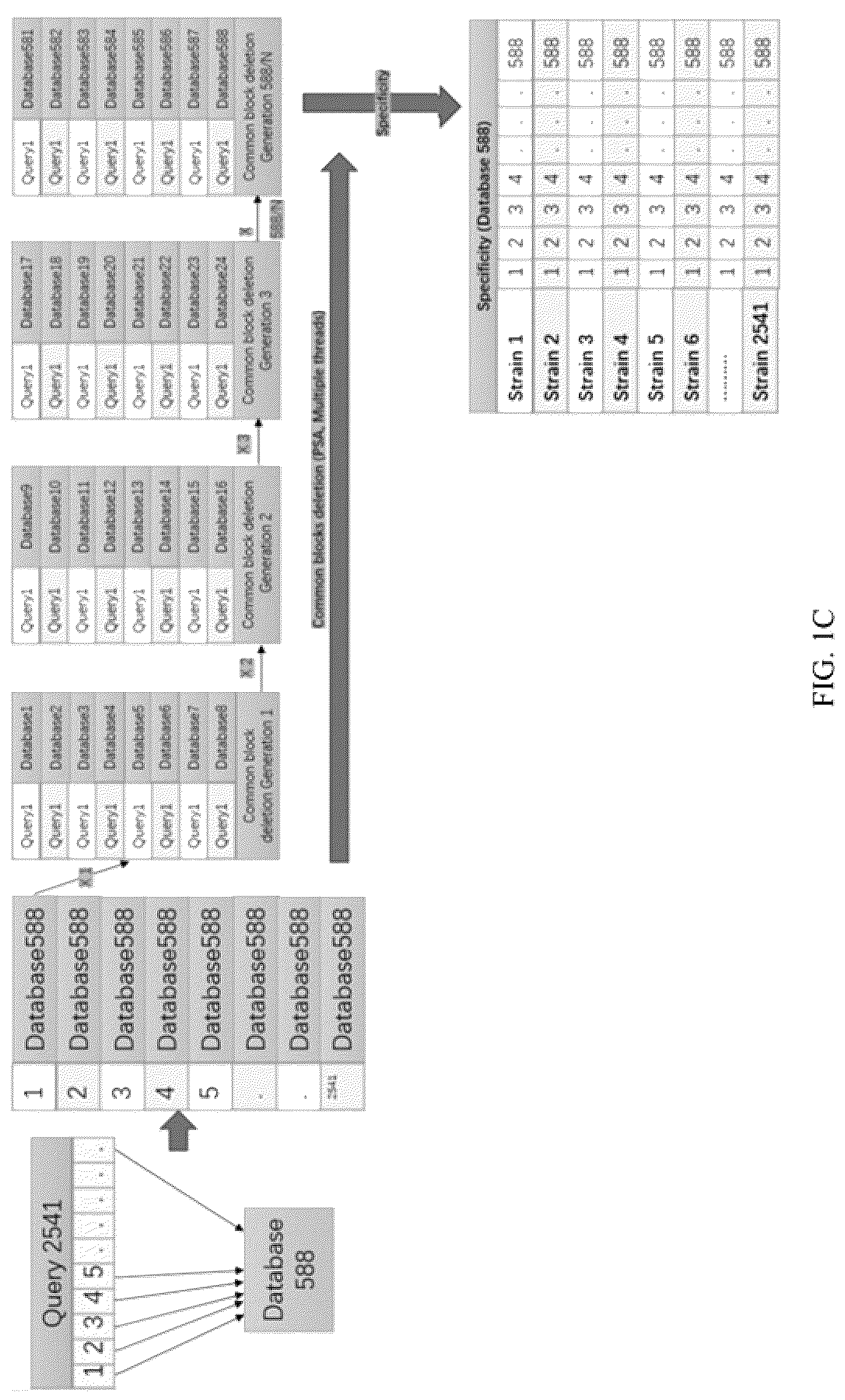Patent US12308093 Figure 3 – Method and device for identifying specific region in microorganism target fragment and use thereof