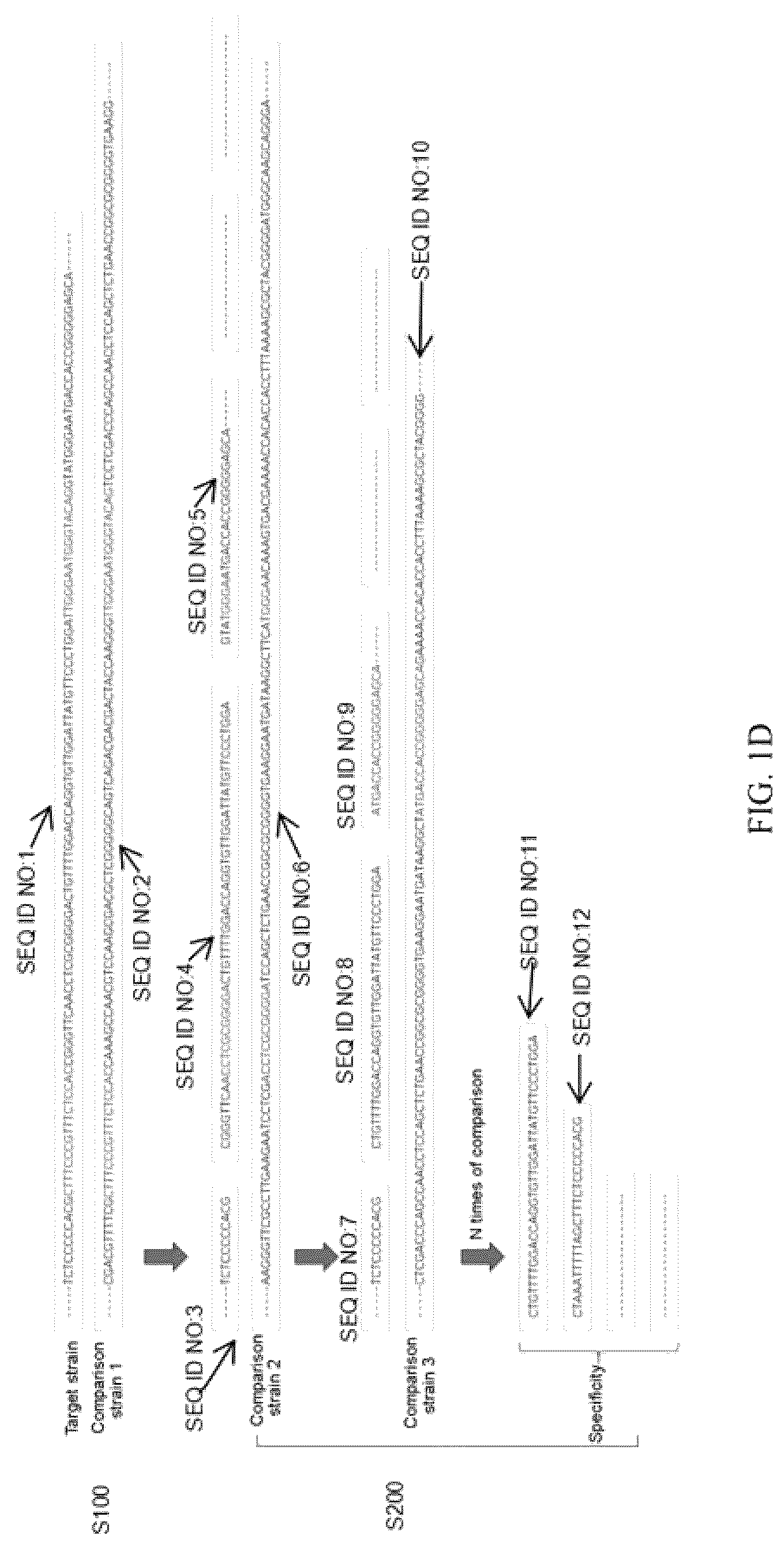 Patent US12308093 Figure 4 – Method and device for identifying specific region in microorganism target fragment and use thereof