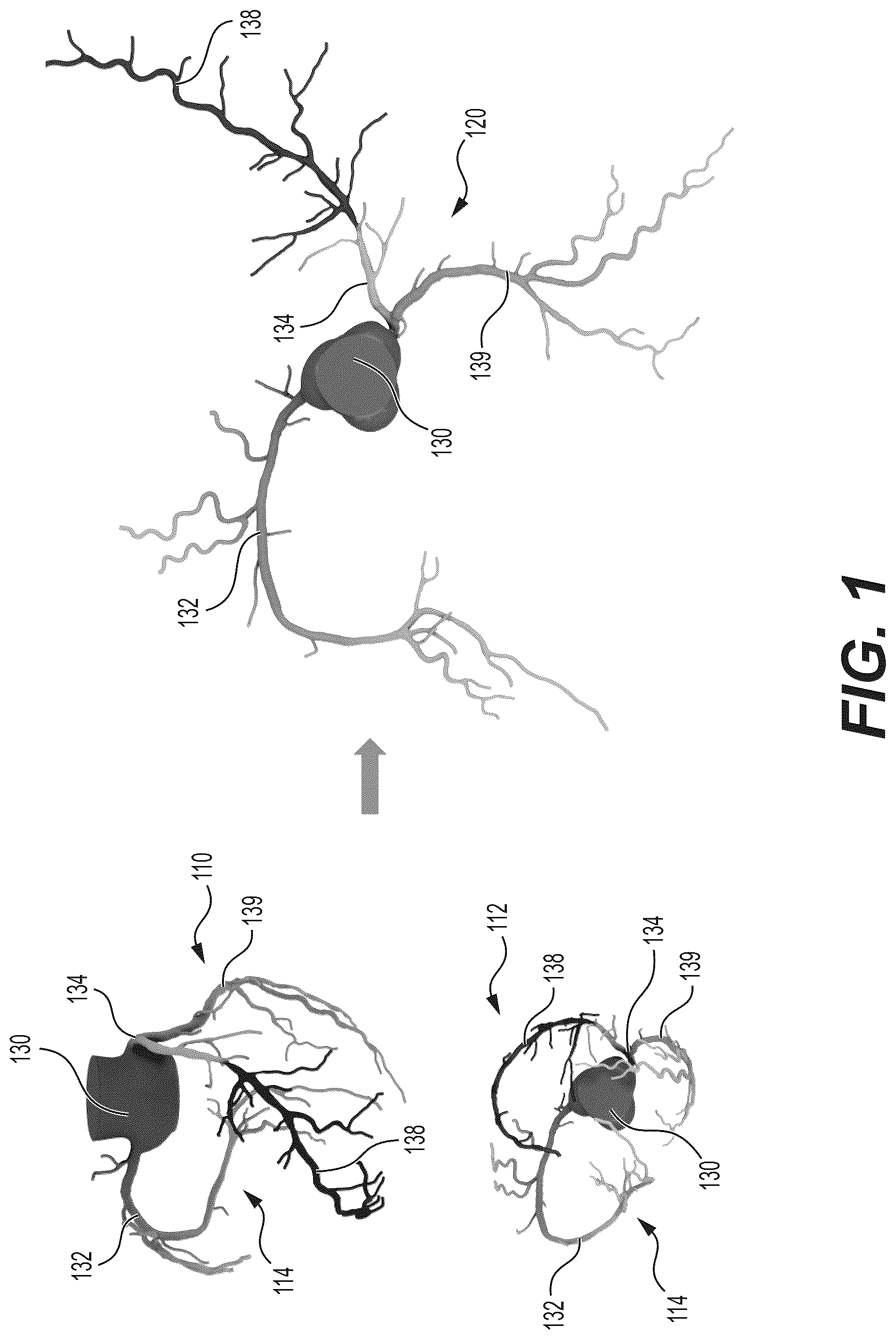 Patent US12308110 Figure 1 – Systems and methods for processing electronic images to determine a planar mapping