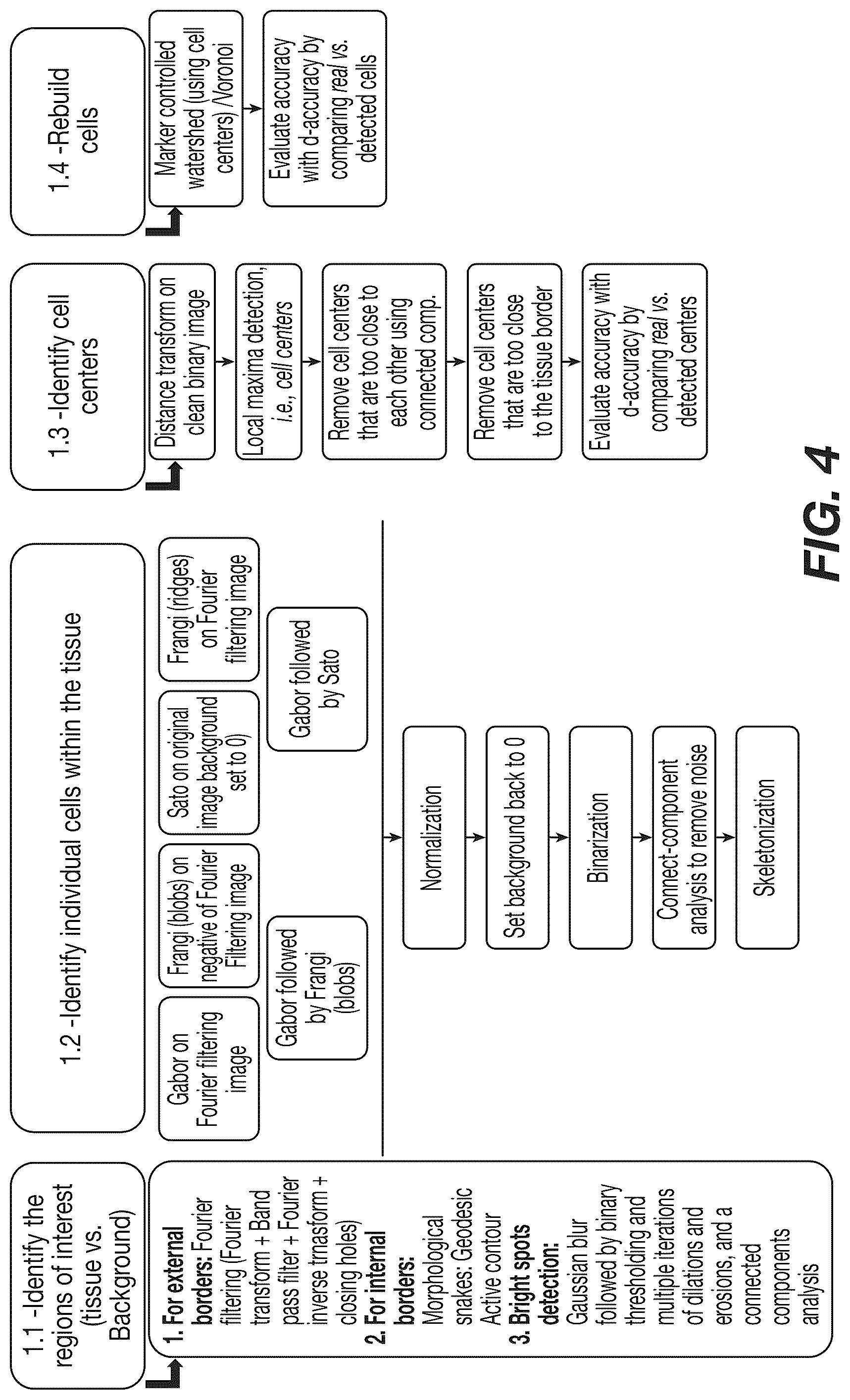 Patent US12308120 Figure 5 – Analysis and characterization of epithelial tissue structure