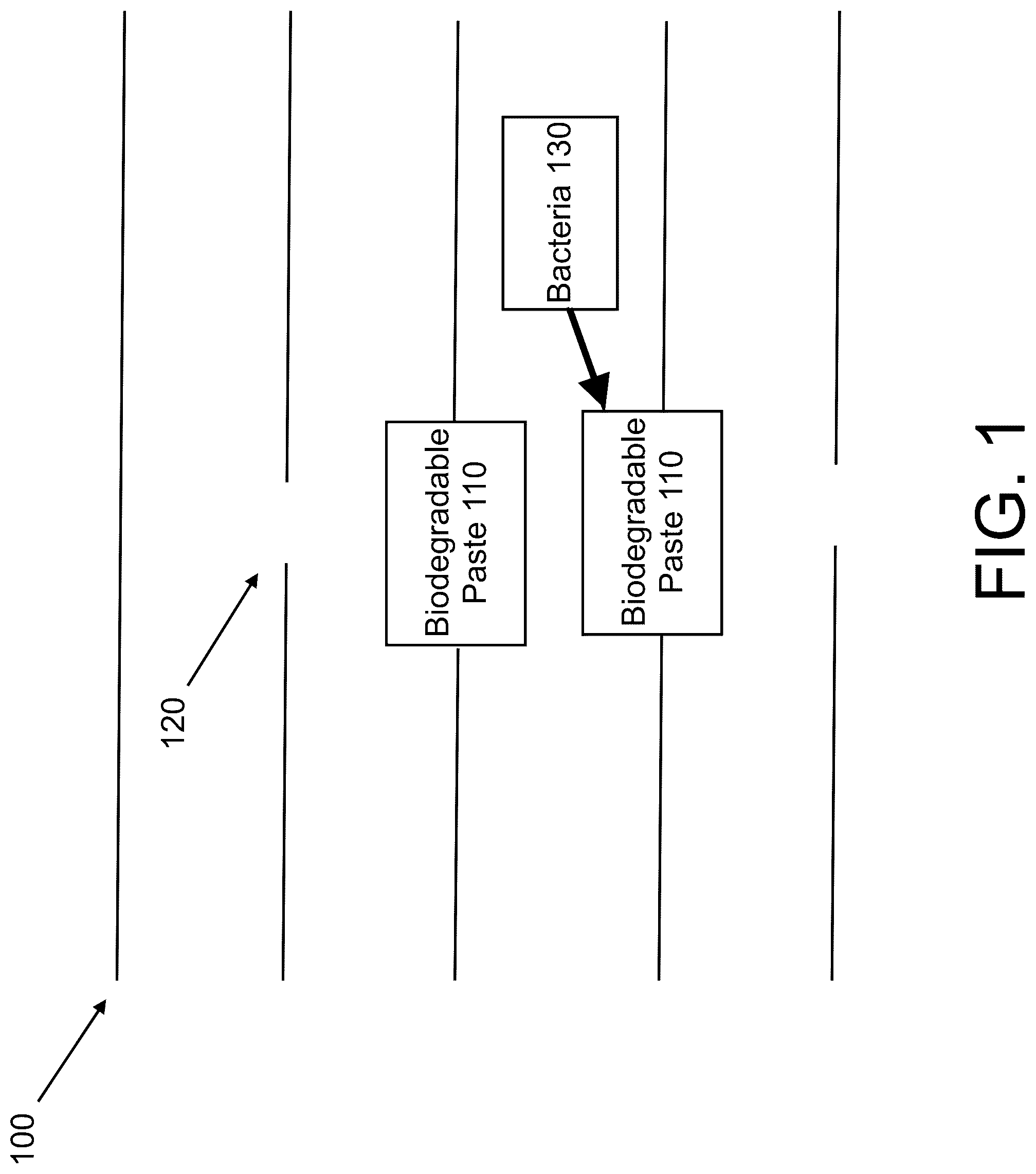 Patent US12308137 Figure 1 – System and method for a temporary biological circuit