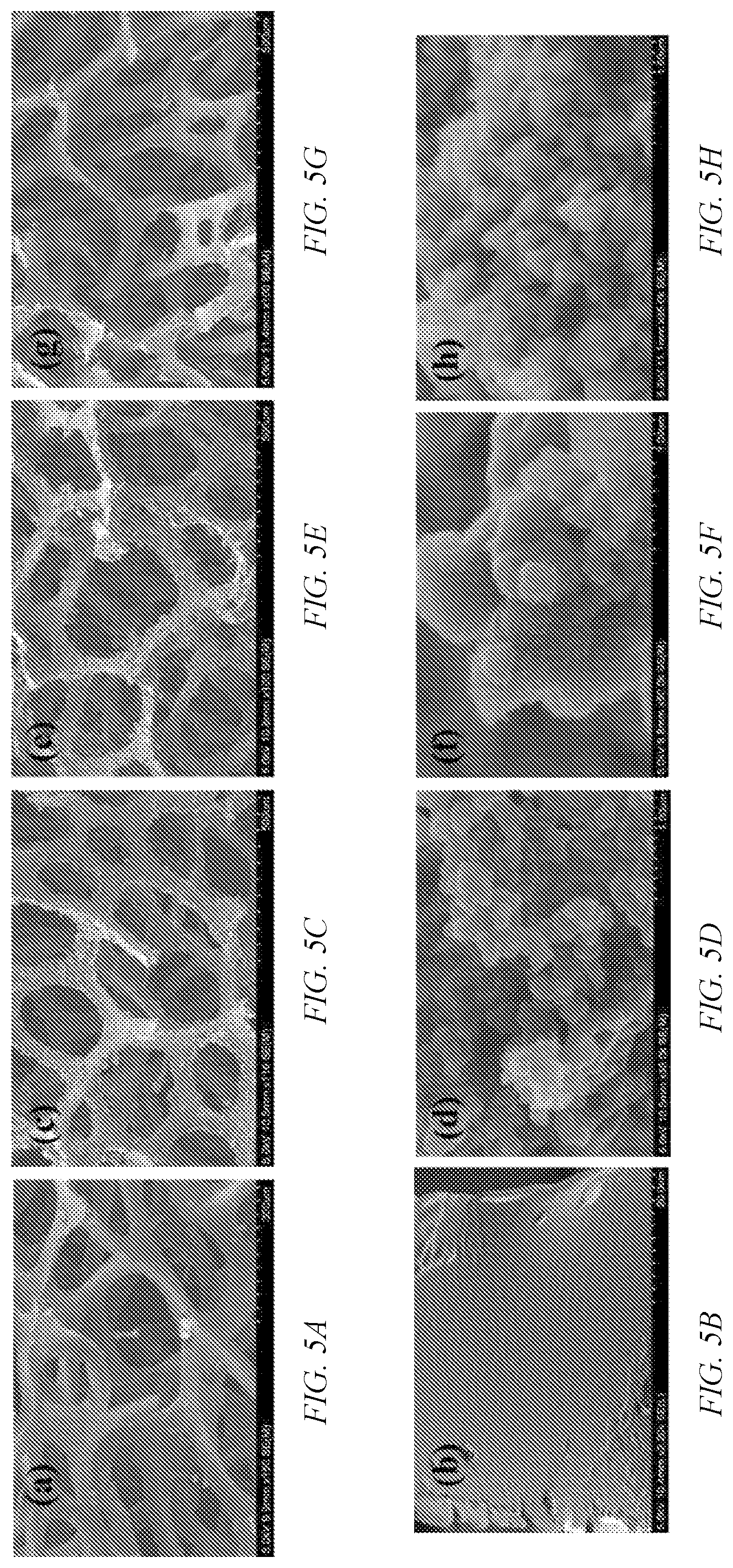 Patent US12308166 Figure 5 – High specific capacitance solid state supercapacitor and method of manufacture