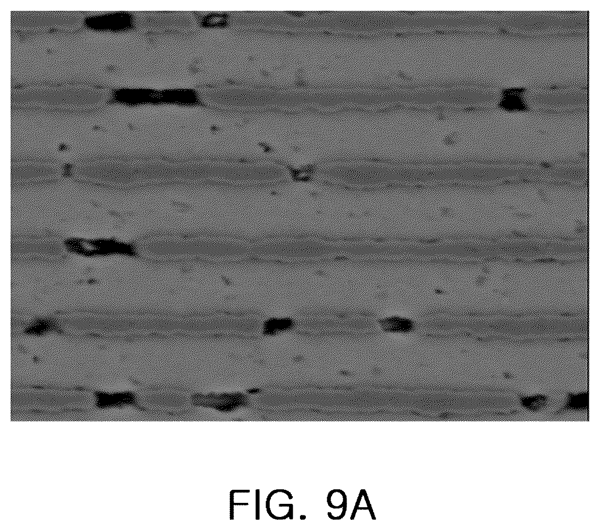 Patent US12308169 Figure 7 – Multilayer ceramic electronic component