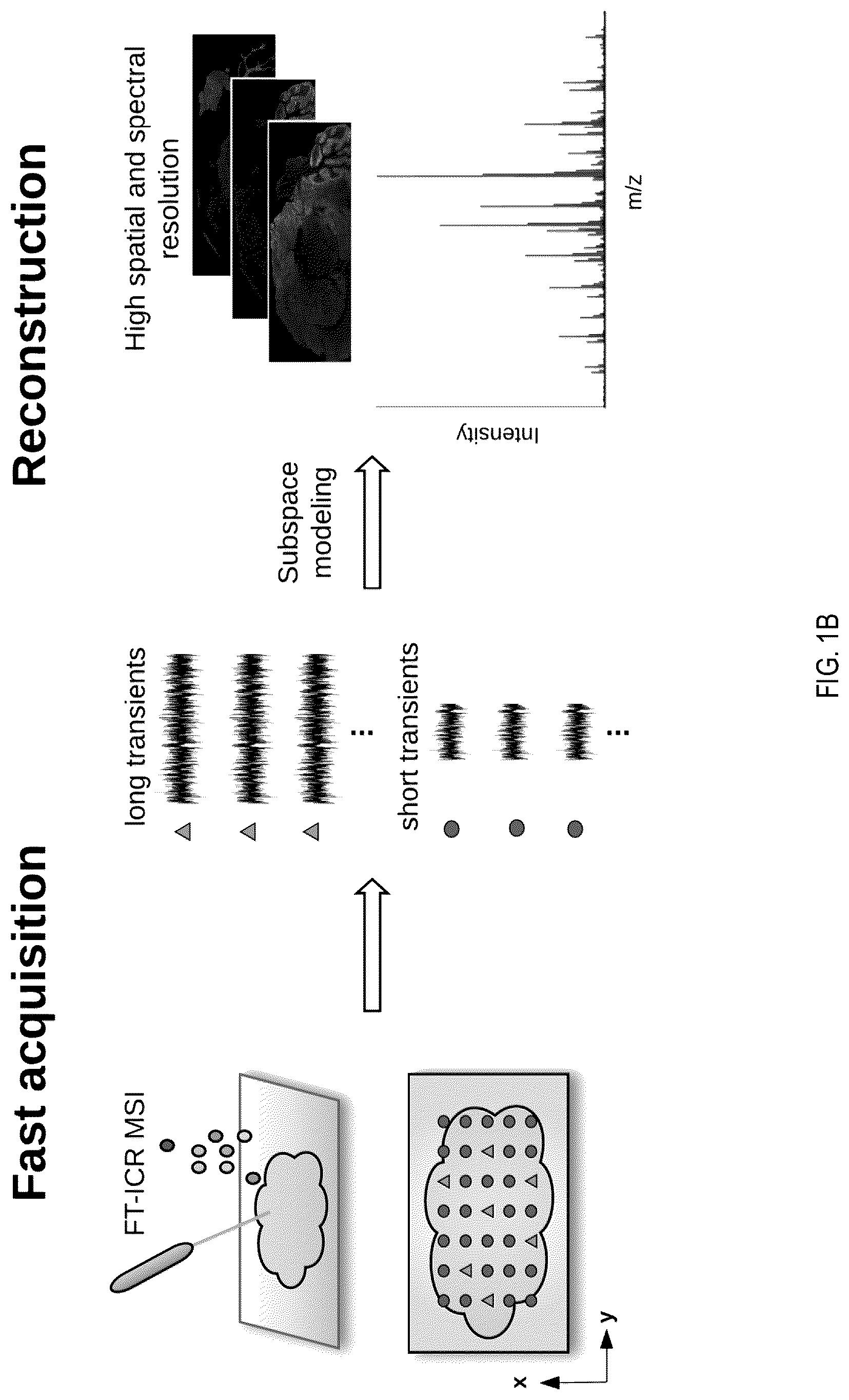 Patent US12308222 Figure 2 – Subspace approach to accelerate Fourier transform mass spectrometry imaging
