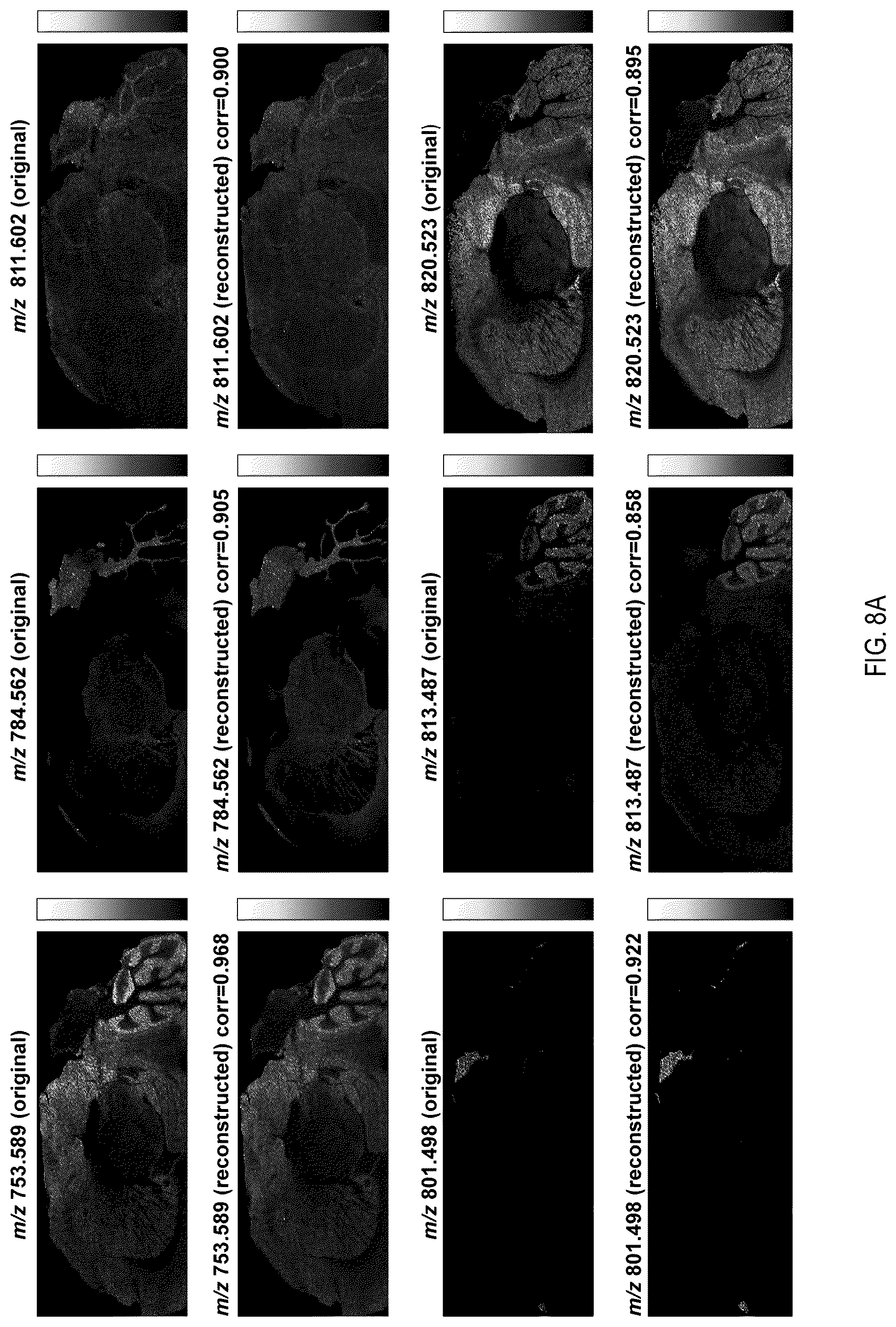 Patent US12308222 Figure 12 – Subspace approach to accelerate Fourier transform mass spectrometry imaging