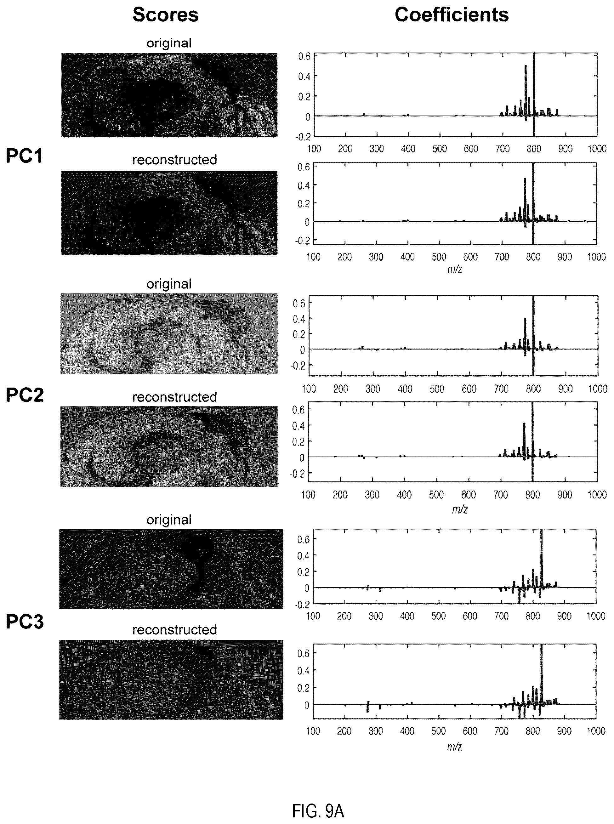 Patent US12308222 Figure 14 – Subspace approach to accelerate Fourier transform mass spectrometry imaging
