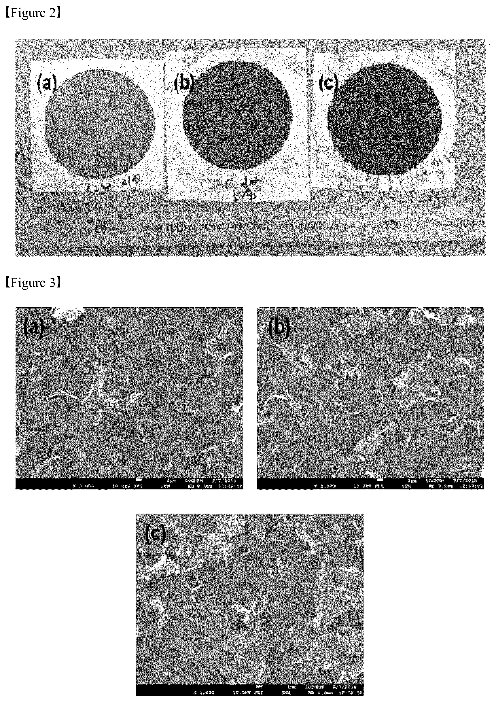 Patent US12308397 Figure 2 – Functional separator having catalytic sites introduced thereinto, manufacturing method therefor, and lithium secondary battery comprising same