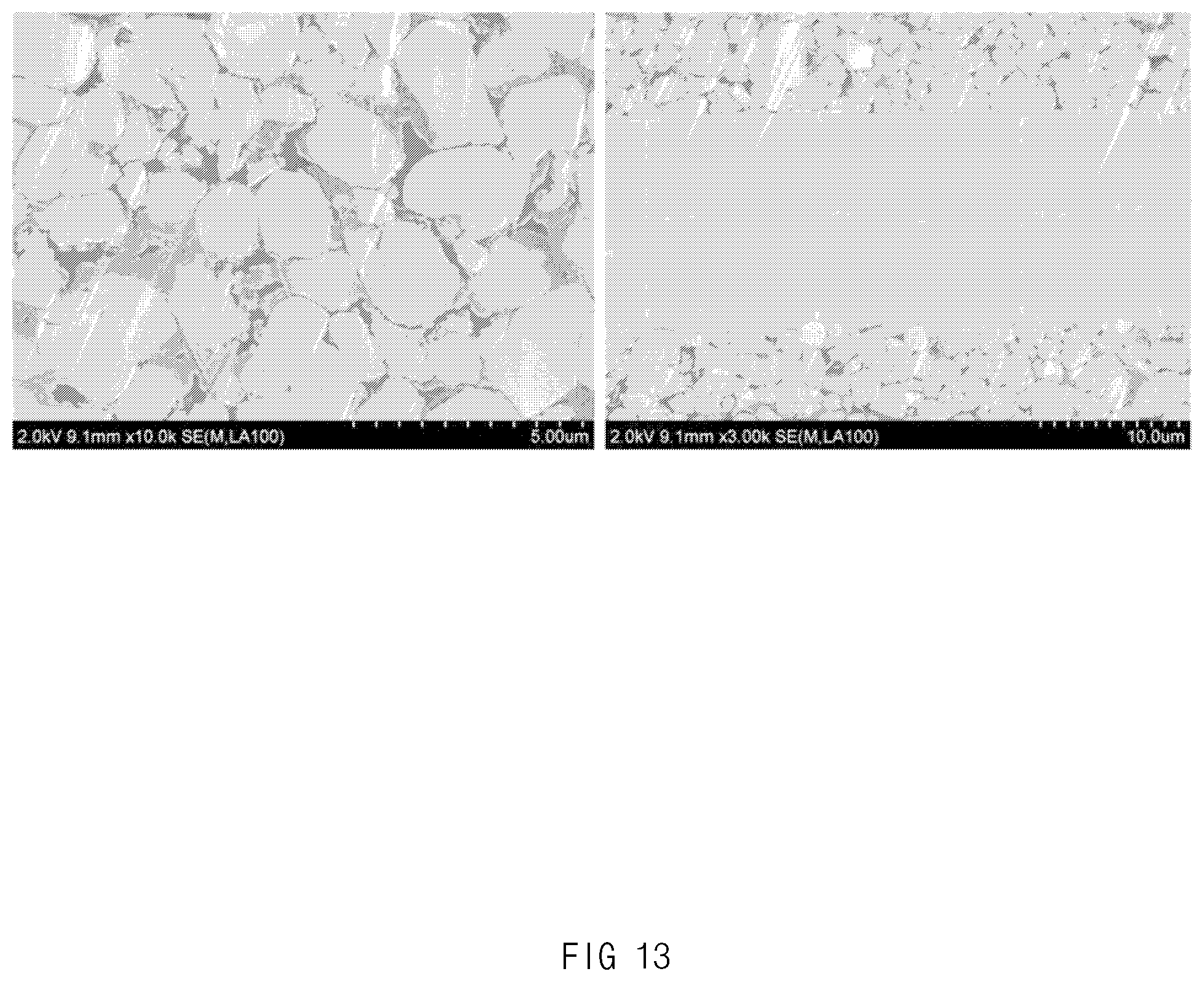 Patent US12308429 Figure 13 – Lithium secondary battery
