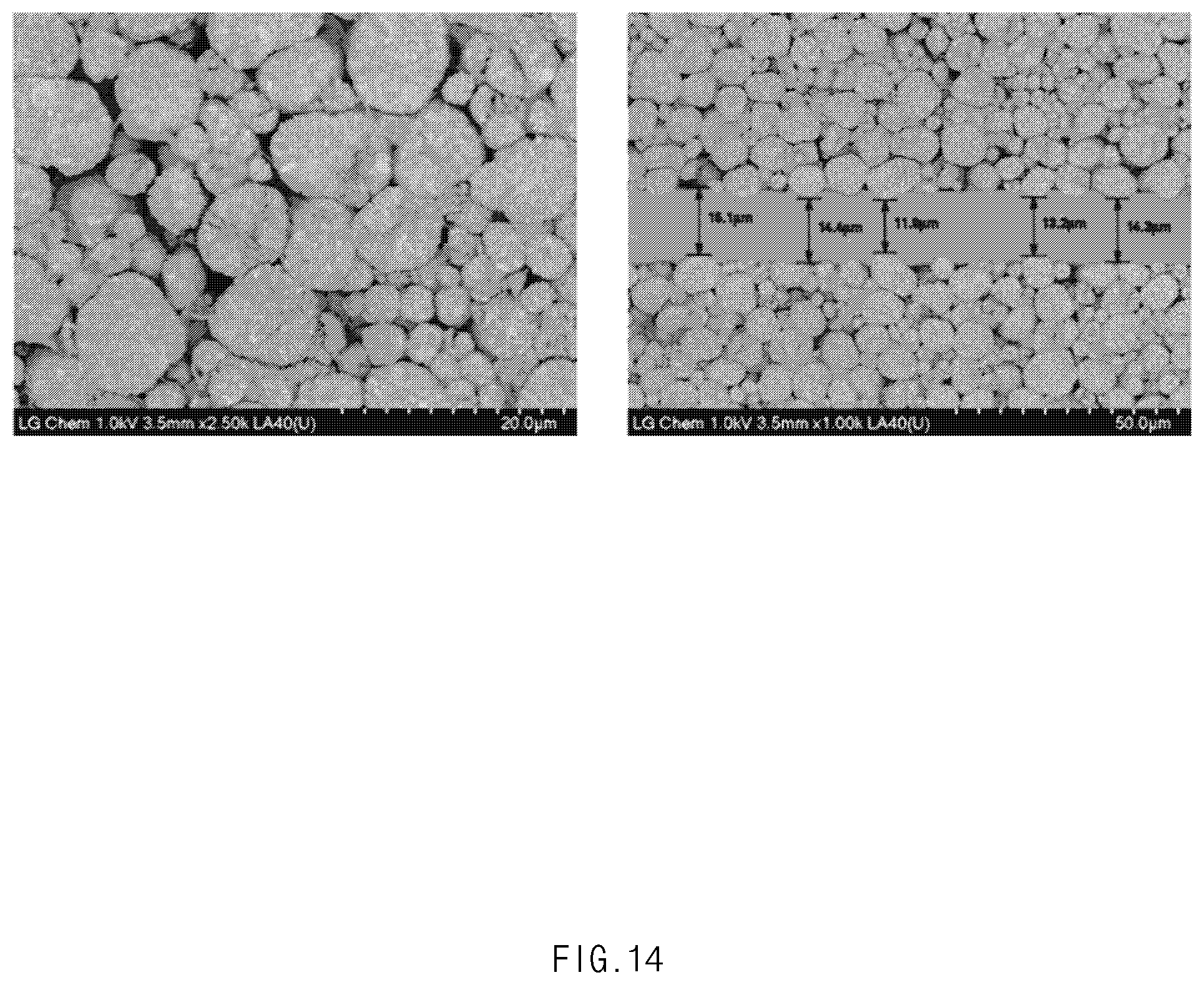 Patent US12308429 Figure 14 – Lithium secondary battery
