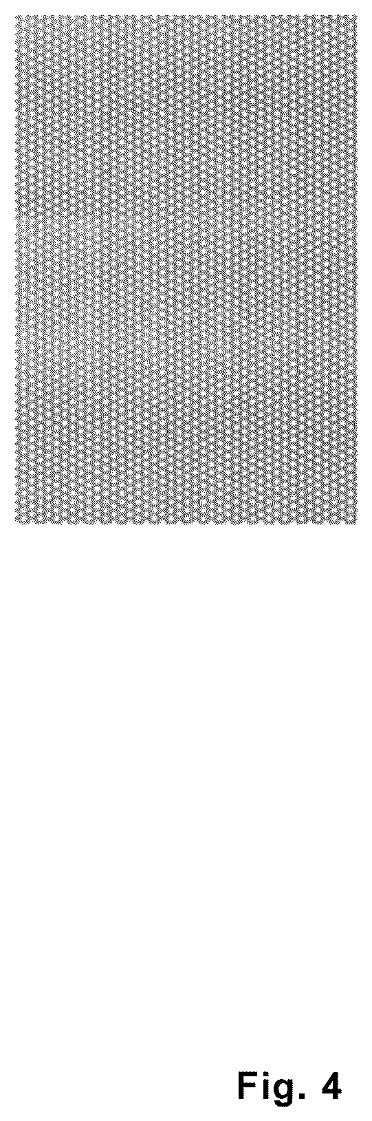 Patent US12308431 Figure 3 – Rechargeable battery cell