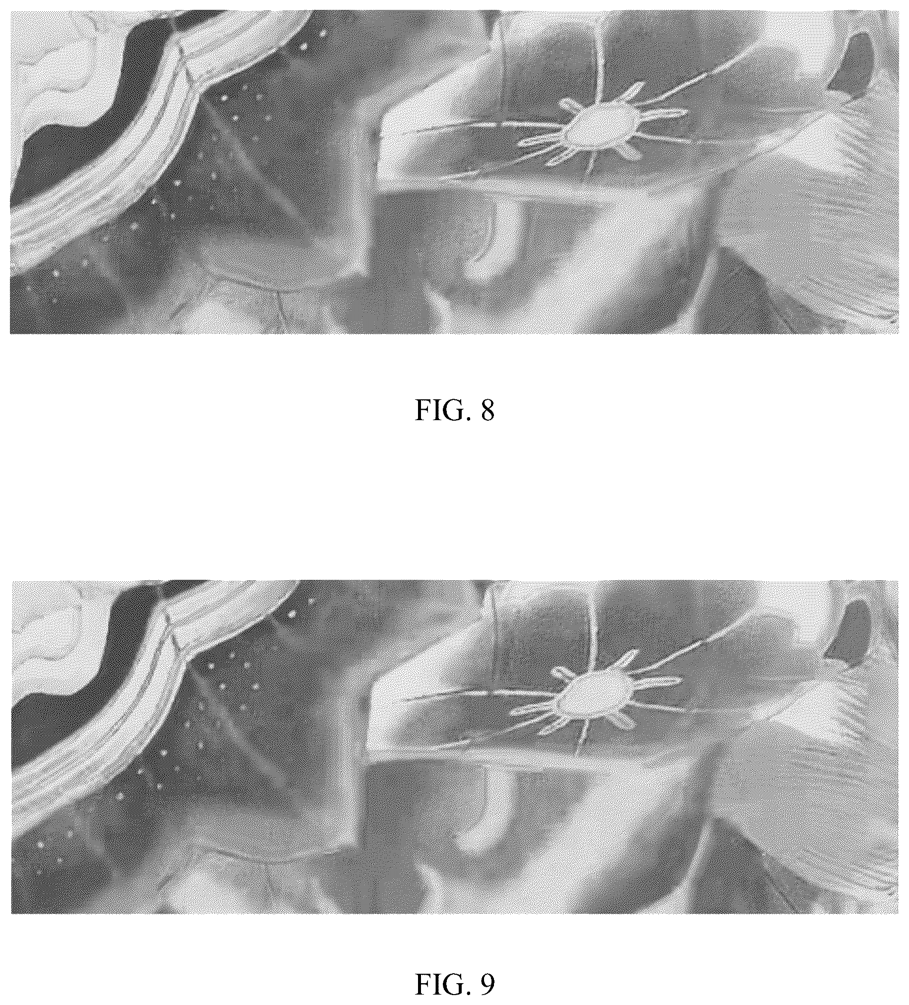 Patent US12309393 Figure 6 – Intra-frame prediction and decoding methods and apparatuses for image signal