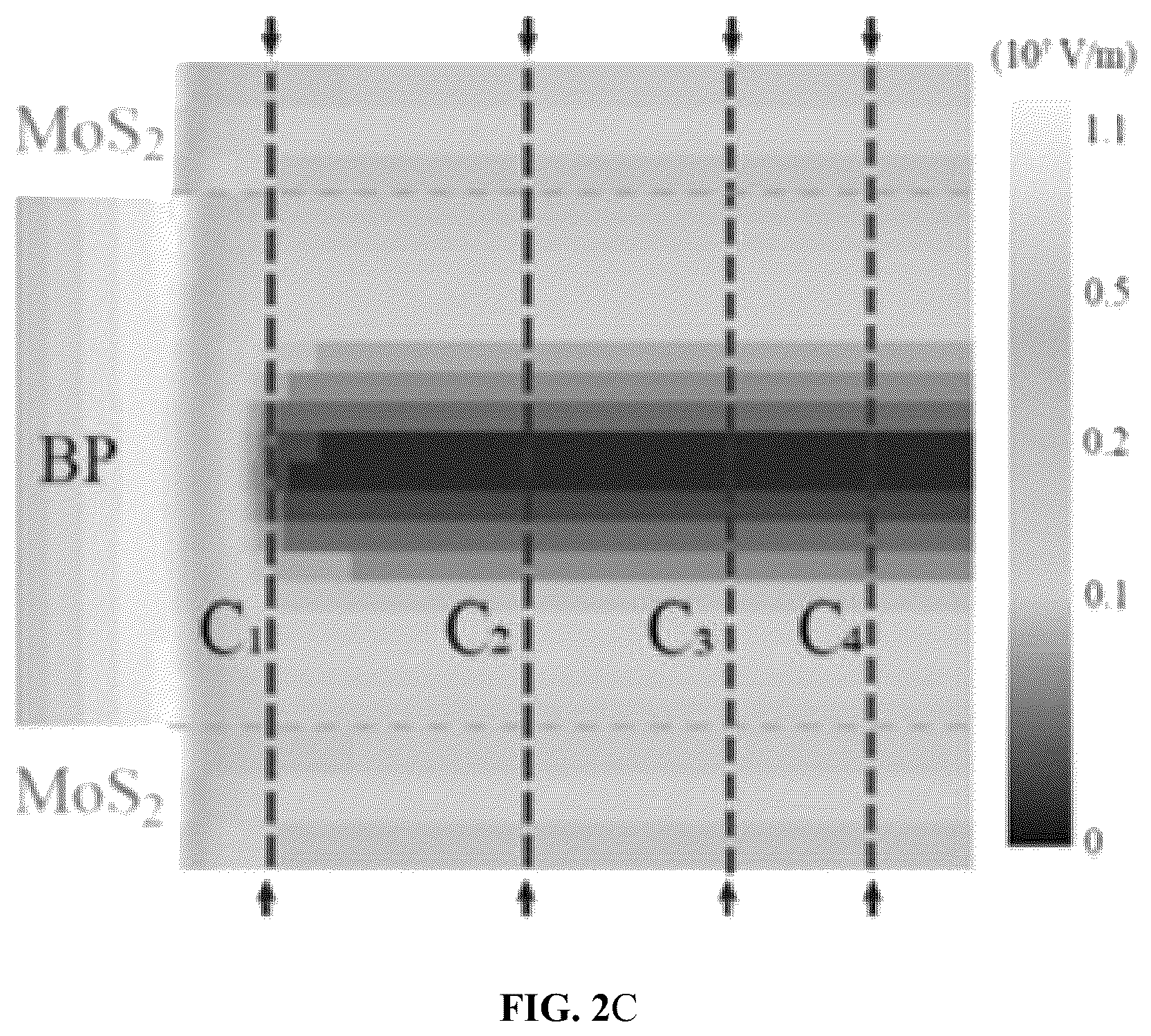 Patent US12310126 Figure 3 – Infrared photodetector based on van der waals heterostructure and preparation method thereof