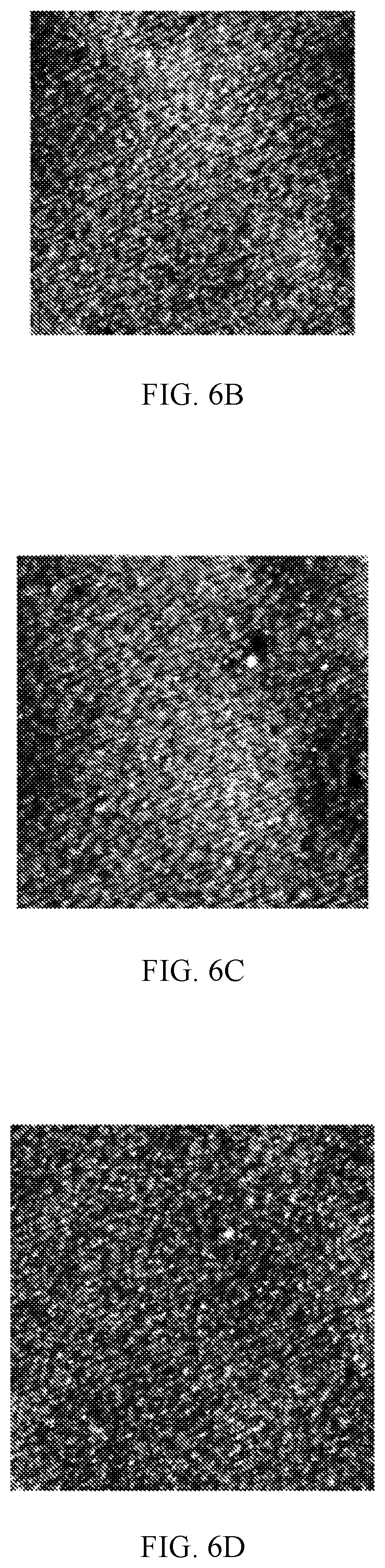 Patent US12310166 Figure 6 – Light-emitting device, manufacturing method thereof, and display device