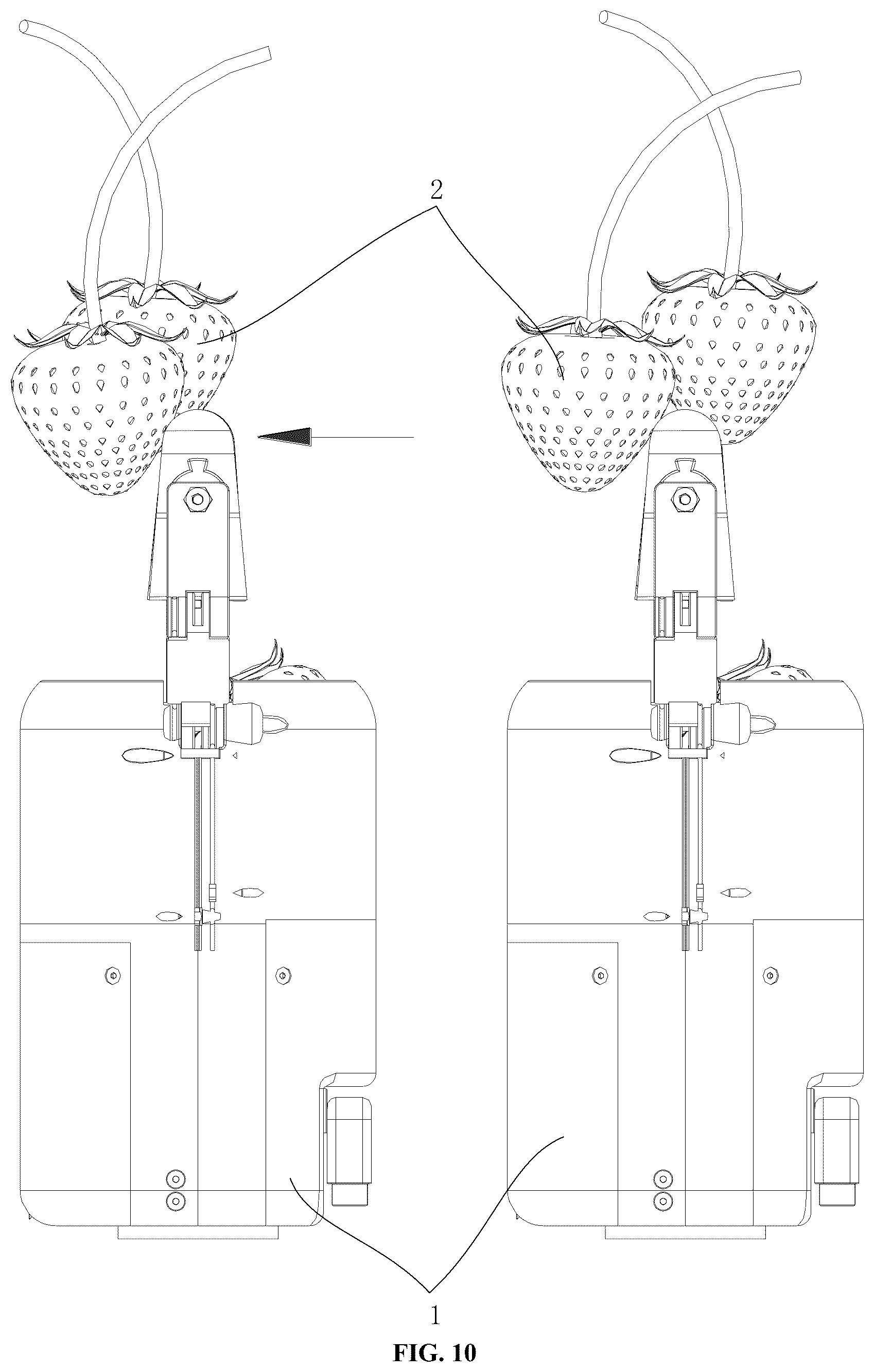 Patent US12310288 Figure 10 – Harvesting method of snap-off picking gripper, and snap-off harvesting gripper