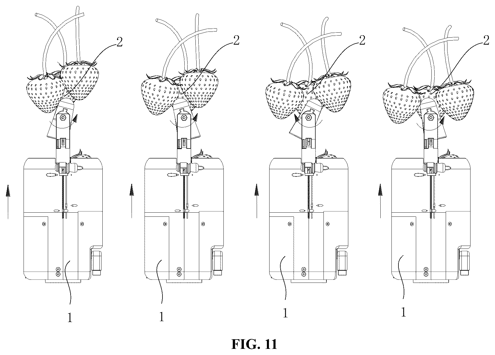 Patent US12310288 Figure 11 – Harvesting method of snap-off picking gripper, and snap-off harvesting gripper