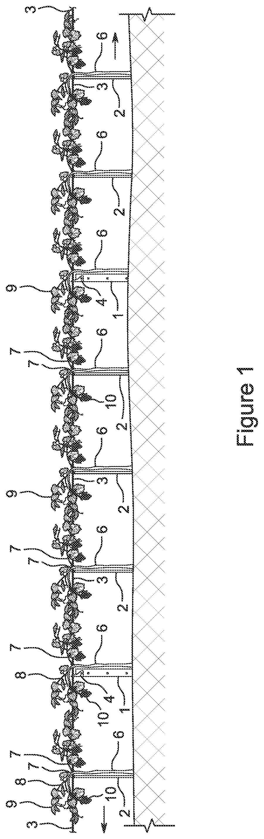 Patent US12310295 Figure 1 – Vine trellis