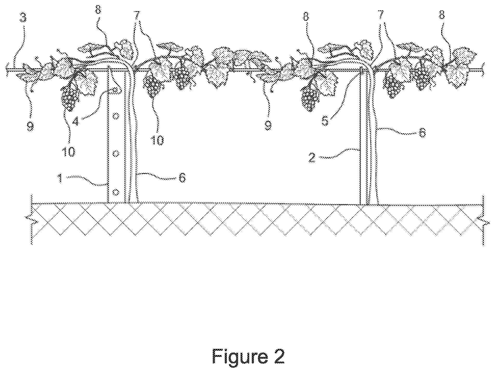 Patent US12310295 Figure 2 – Vine trellis